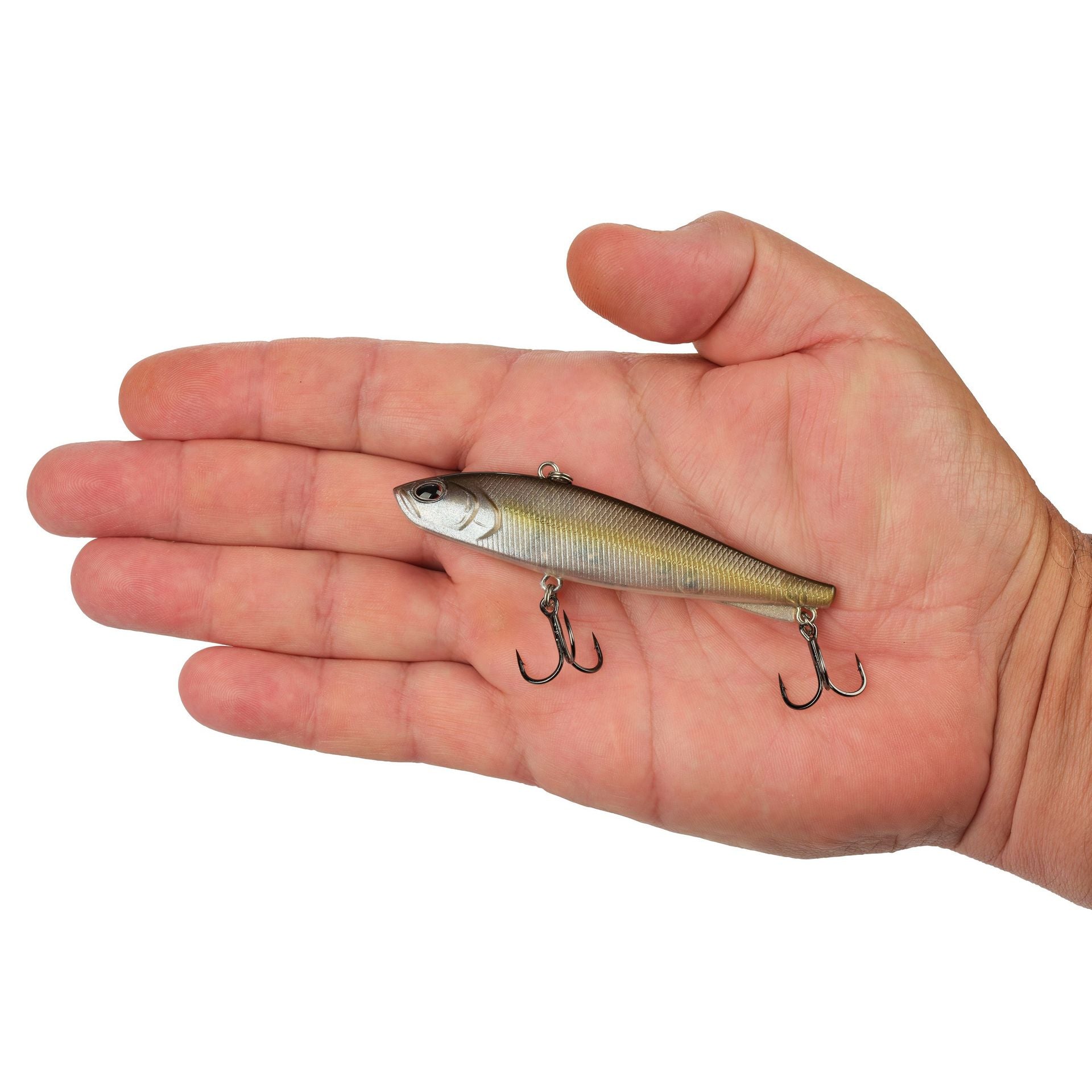 Ripfish