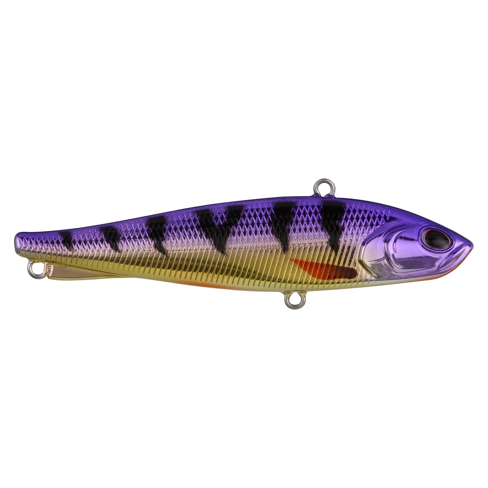Ripfish