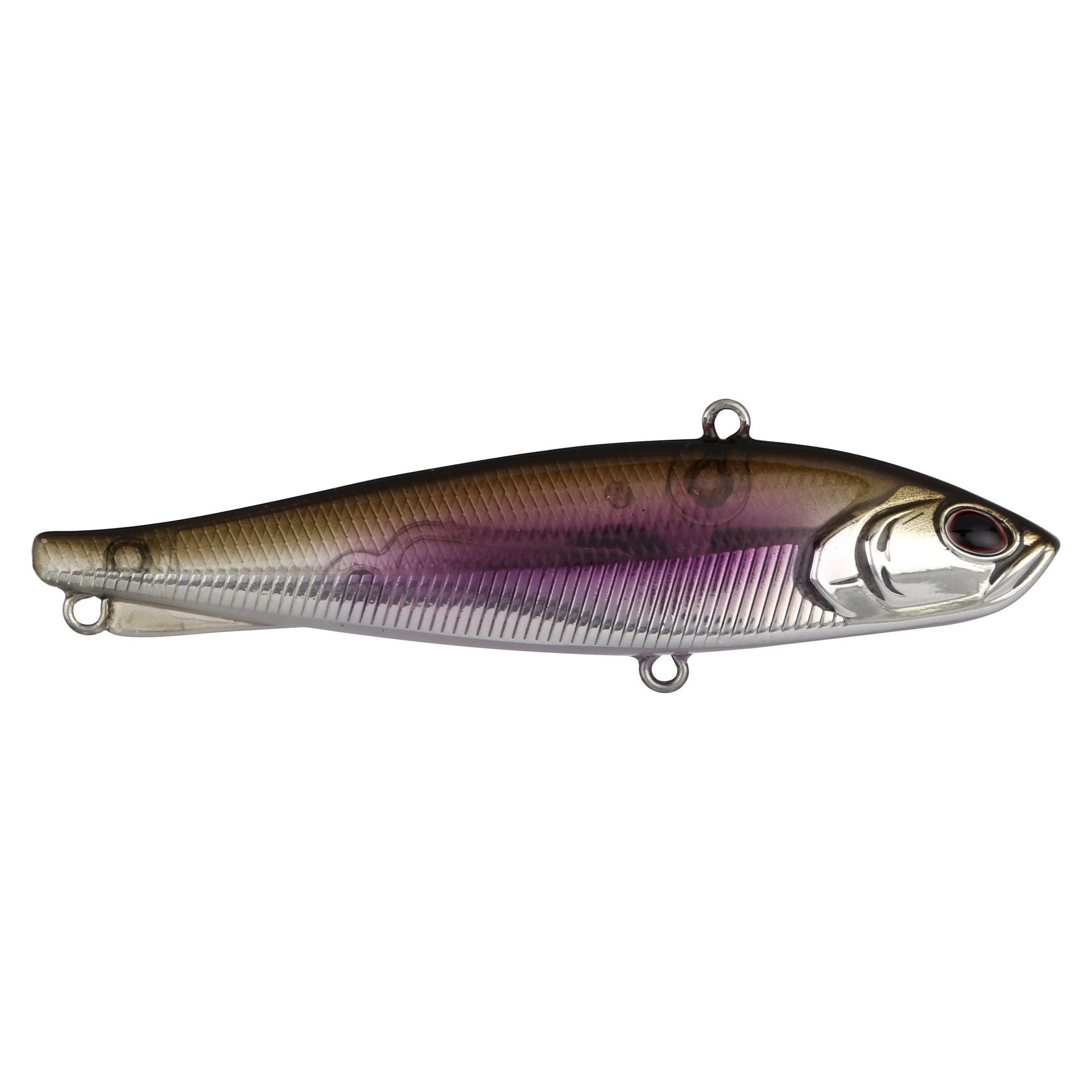 Ripfish
