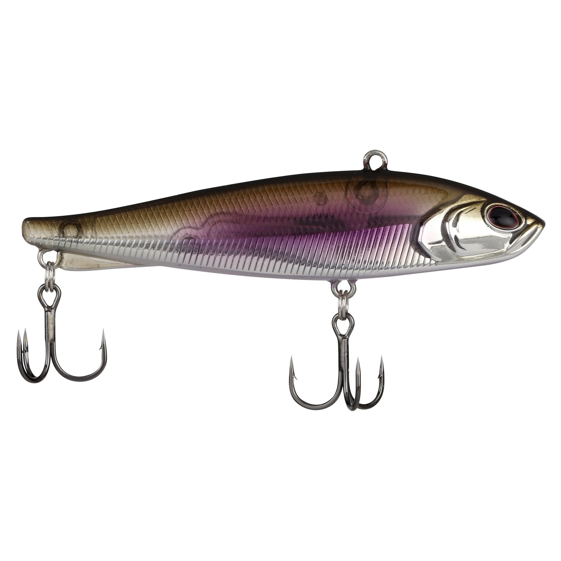 Ripfish