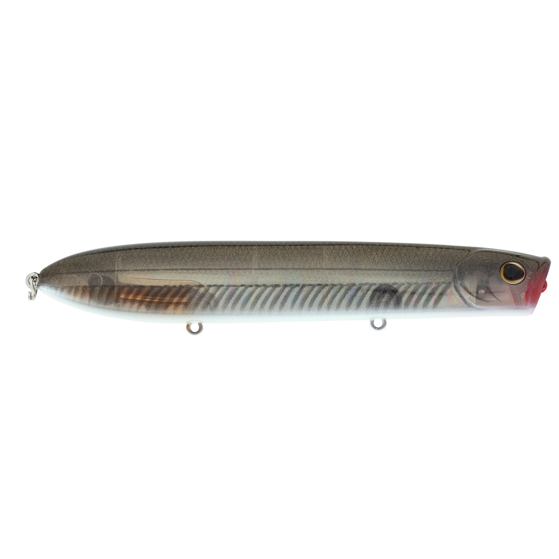 Cane Walker Saltwater