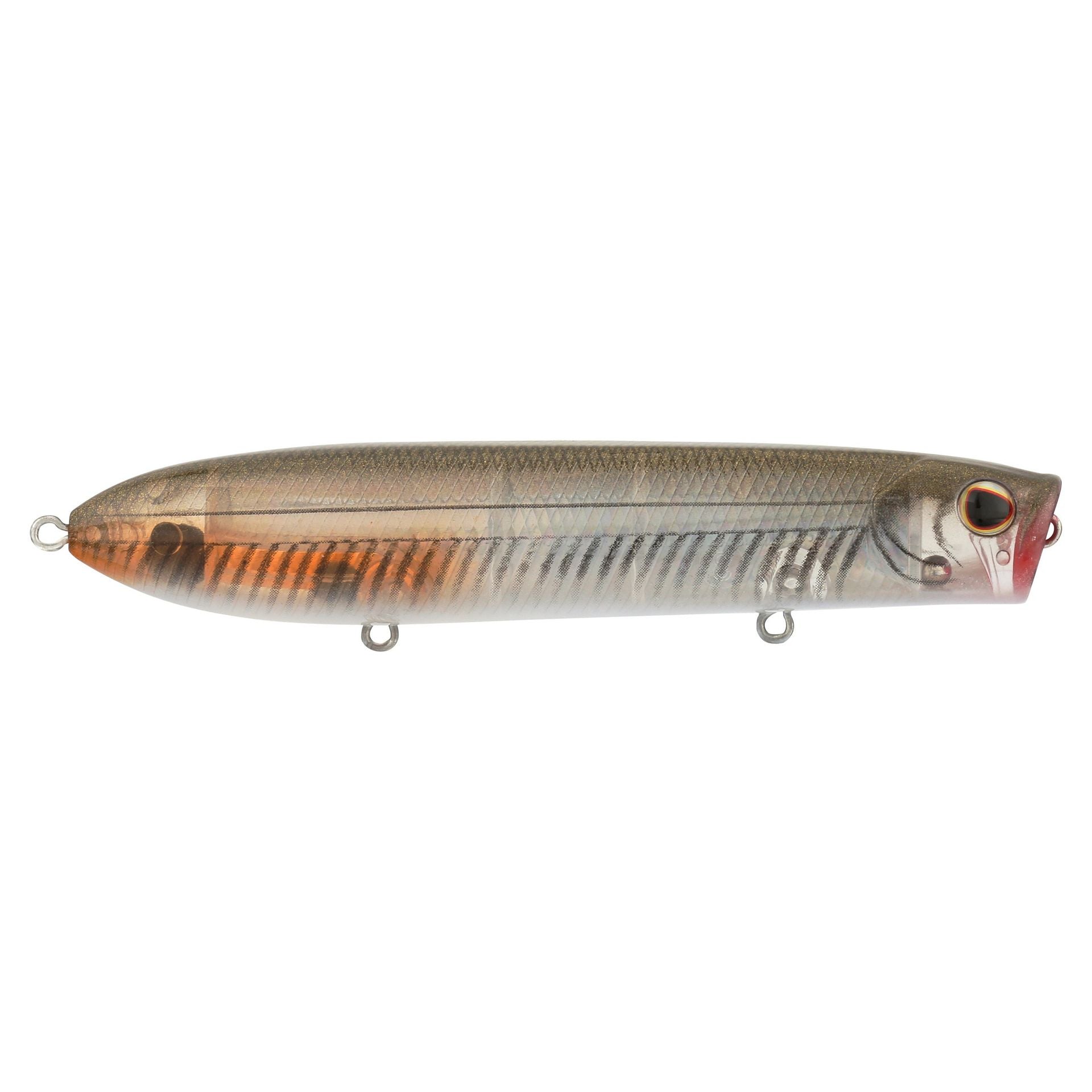 Cane Walker Saltwater