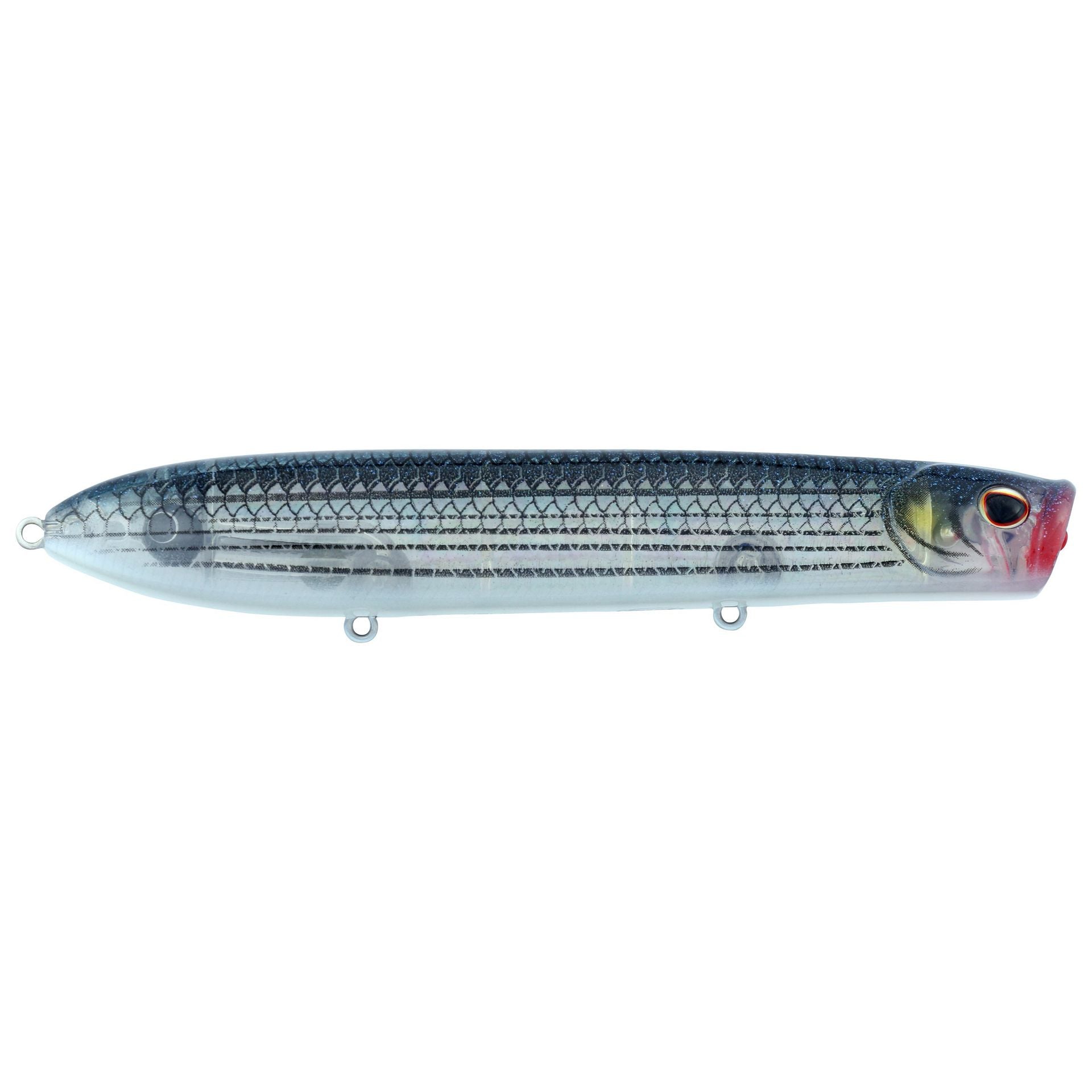 Cane Walker Saltwater