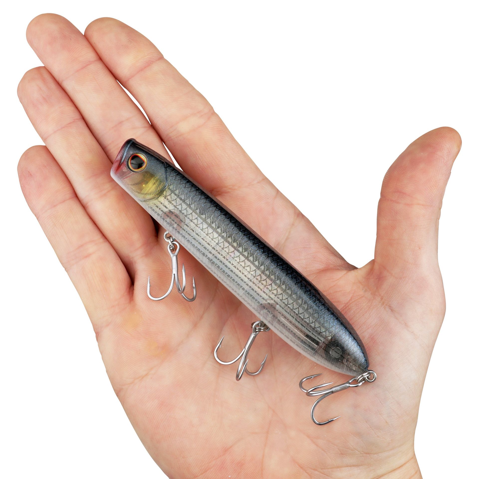 Cane Walker Saltwater