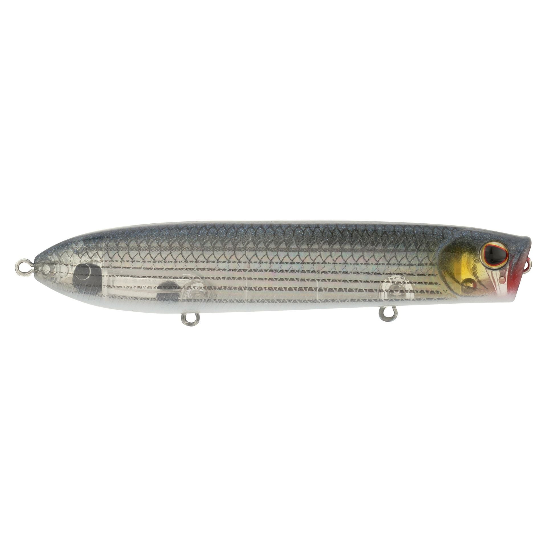 Cane Walker Saltwater