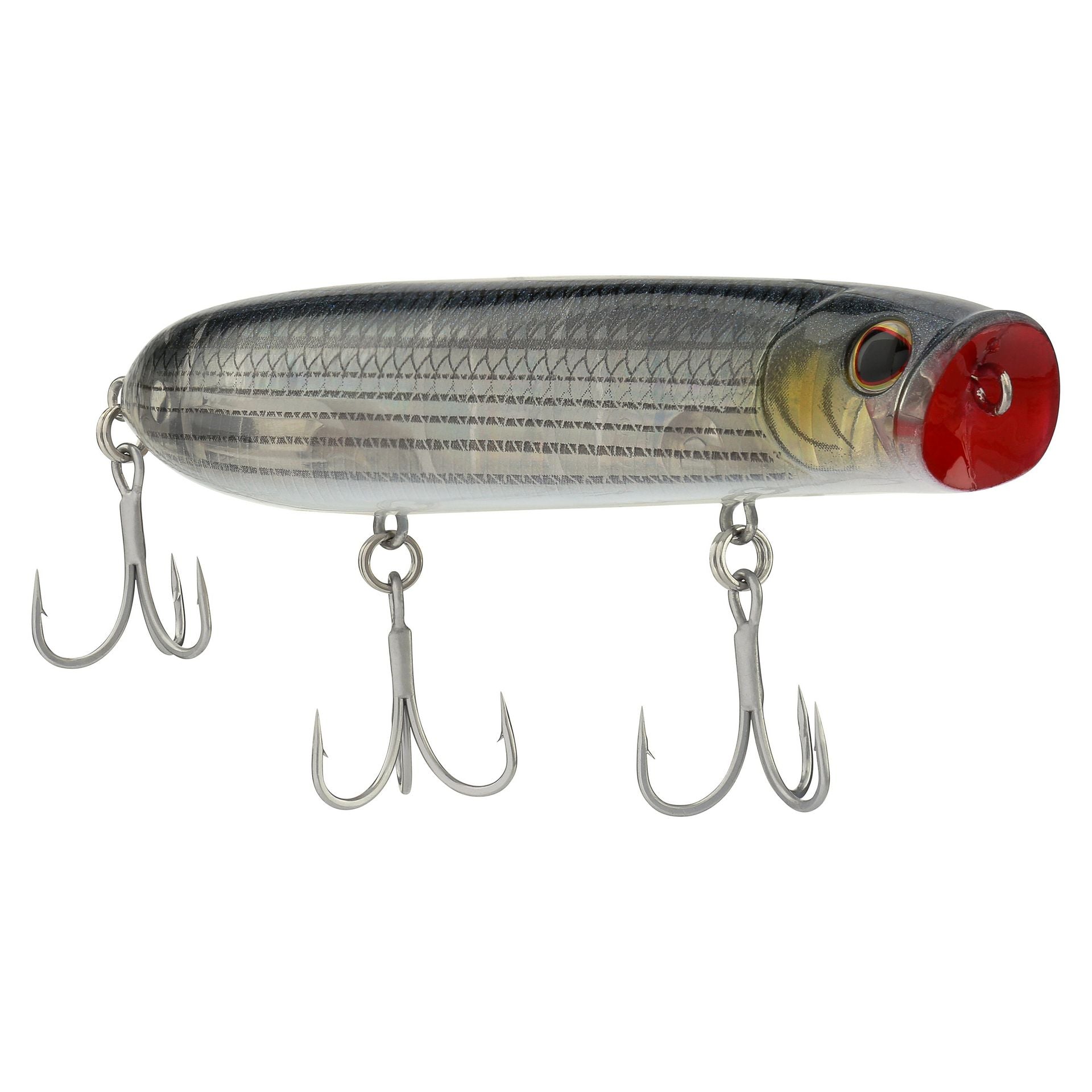 Cane Walker Saltwater