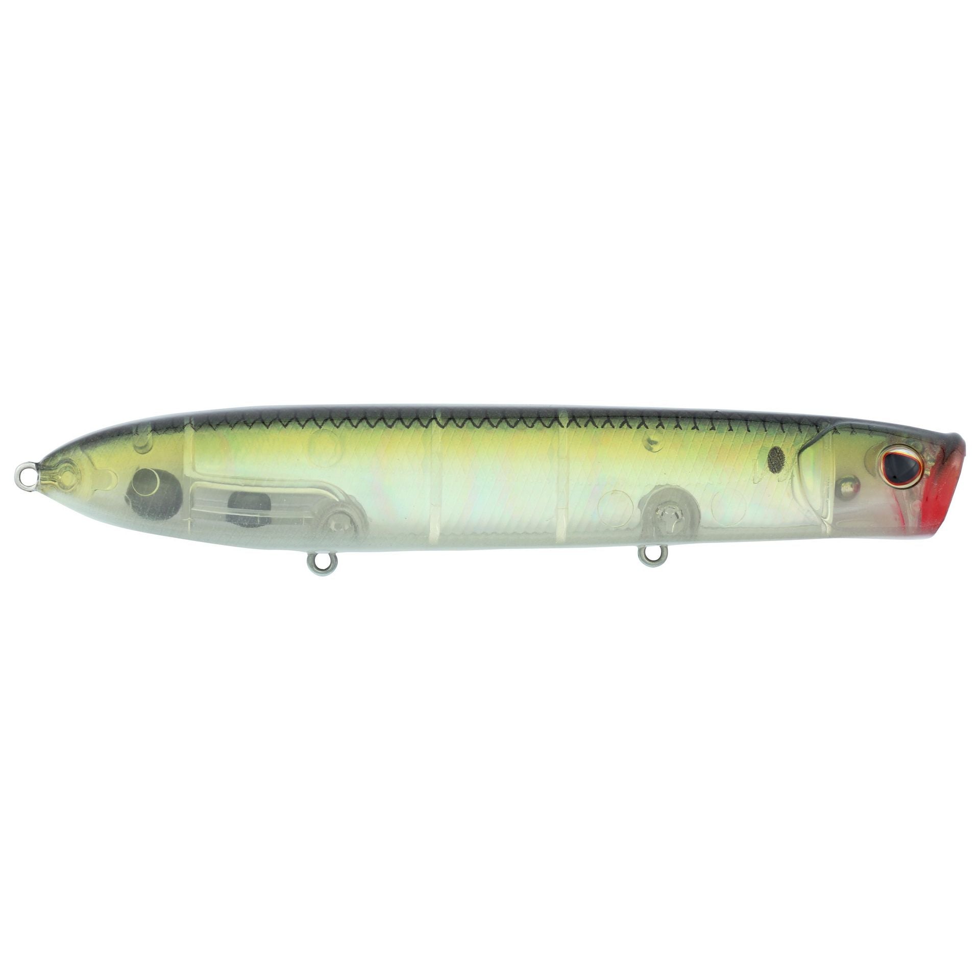 Cane Walker Saltwater