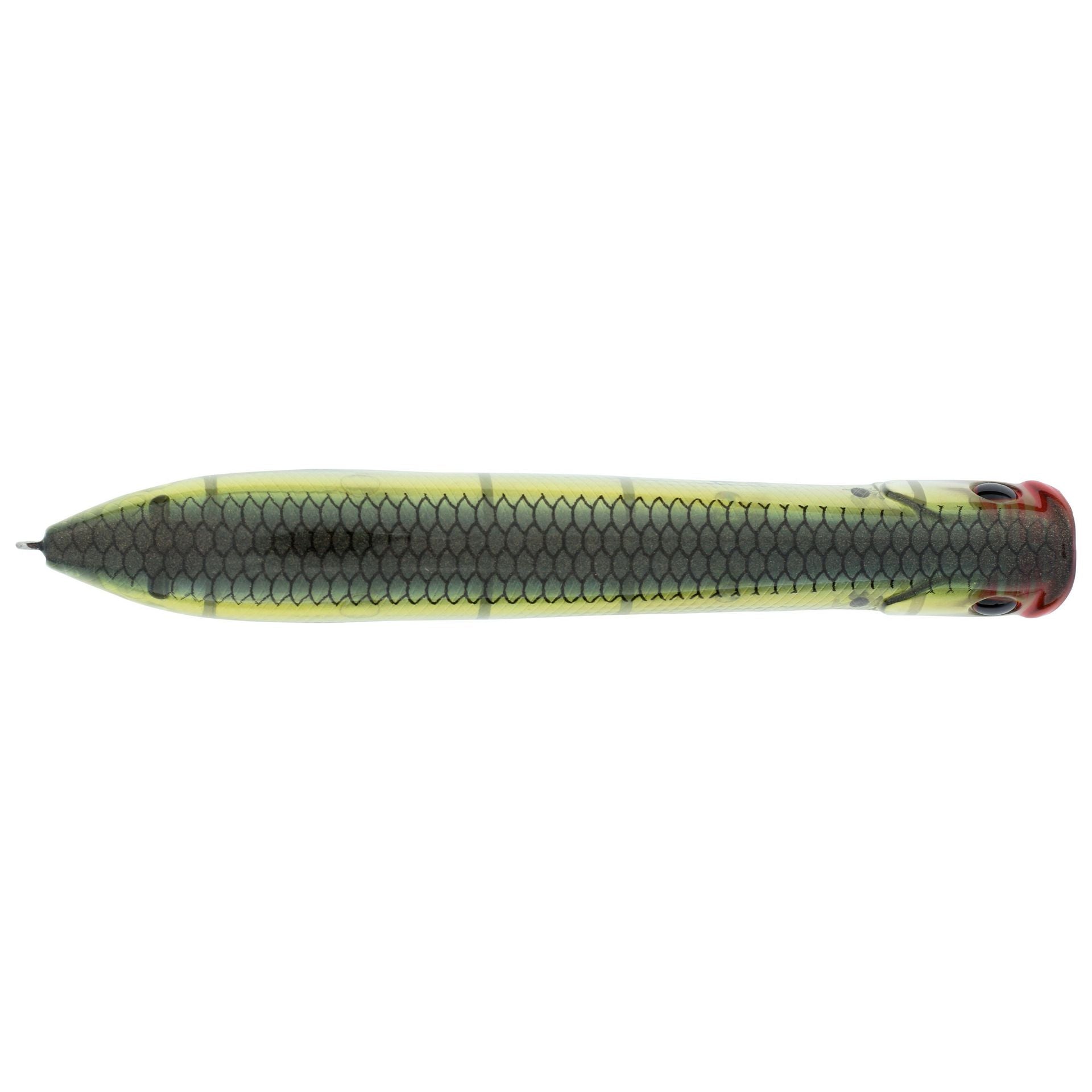 Cane Walker Saltwater