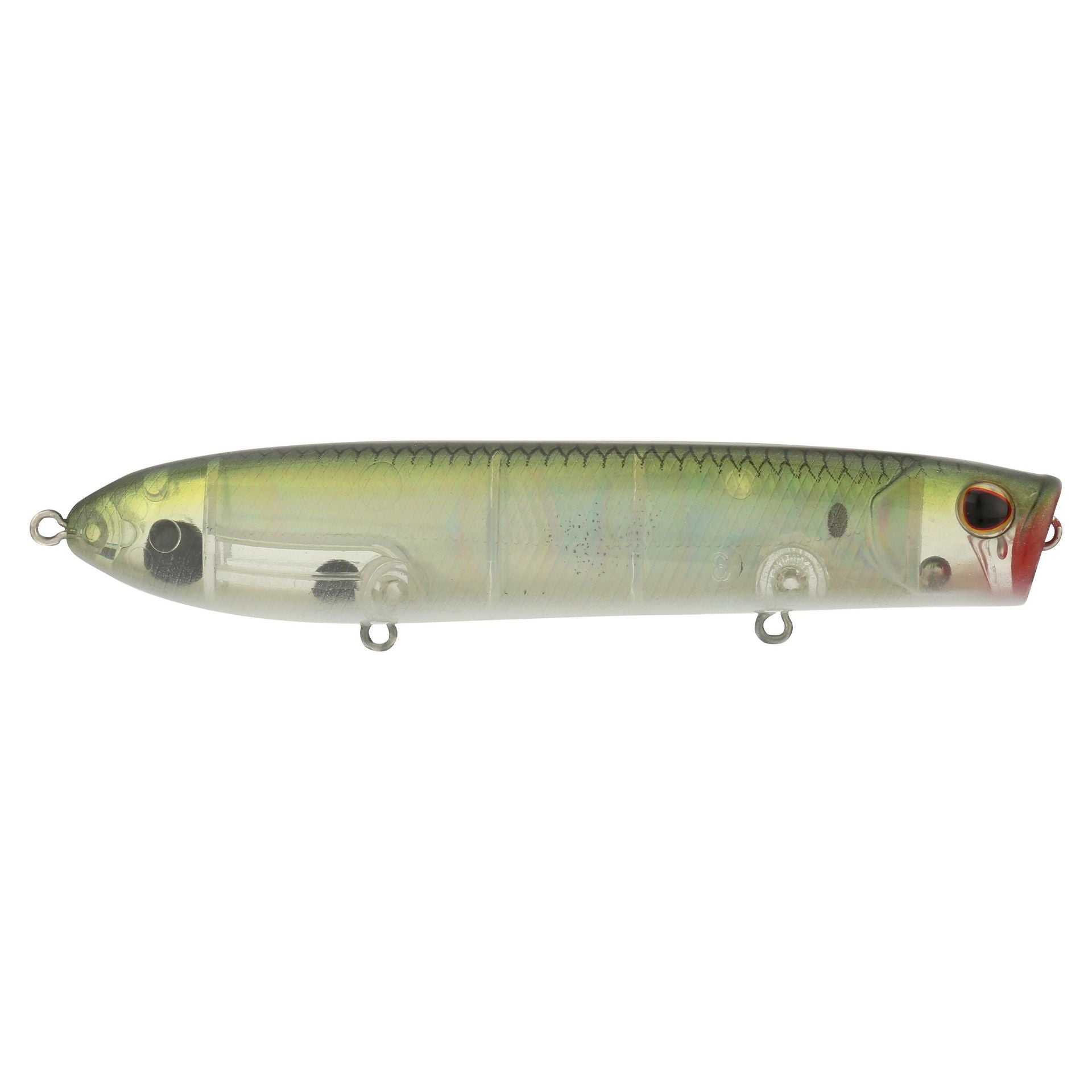 Cane Walker Saltwater