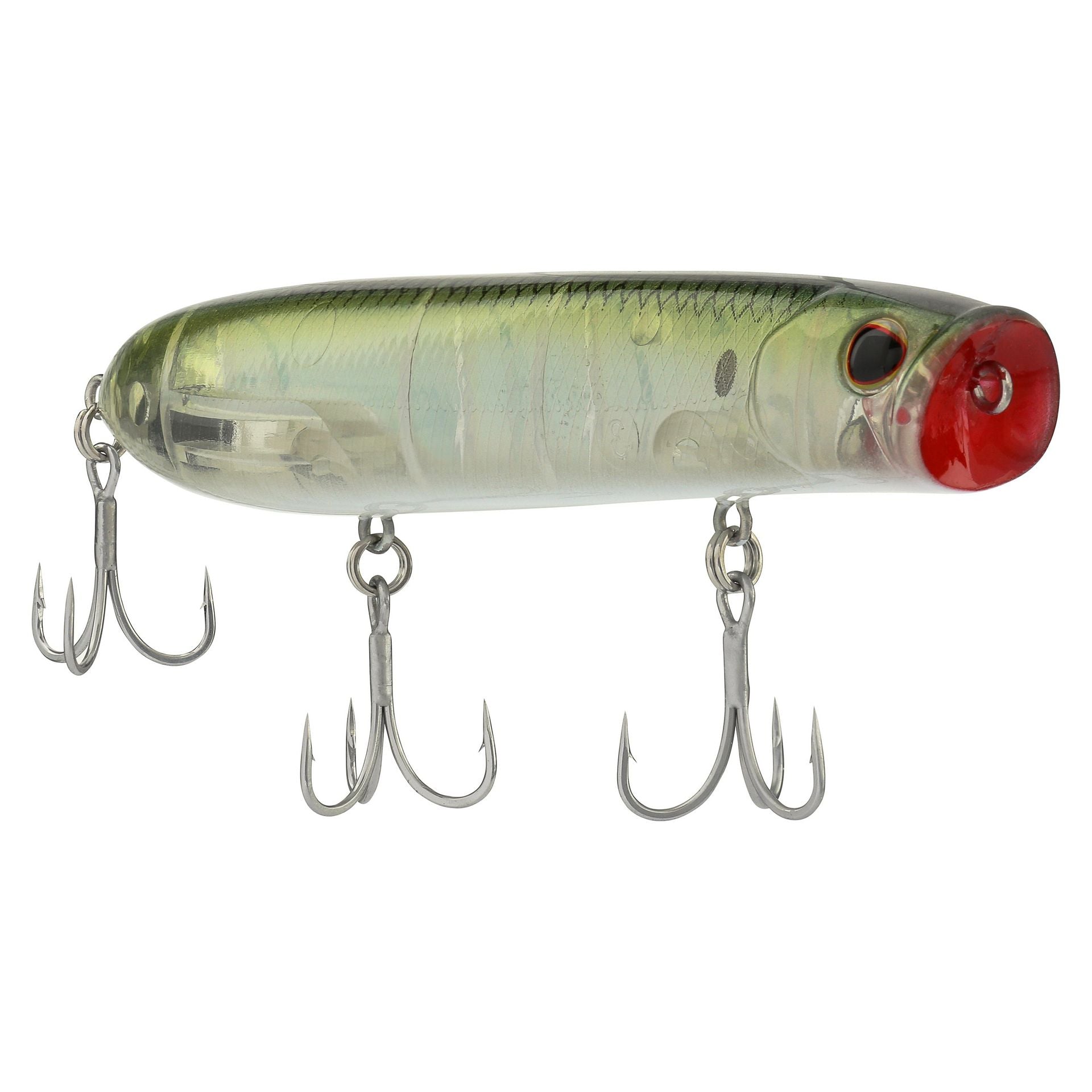 Cane Walker Saltwater