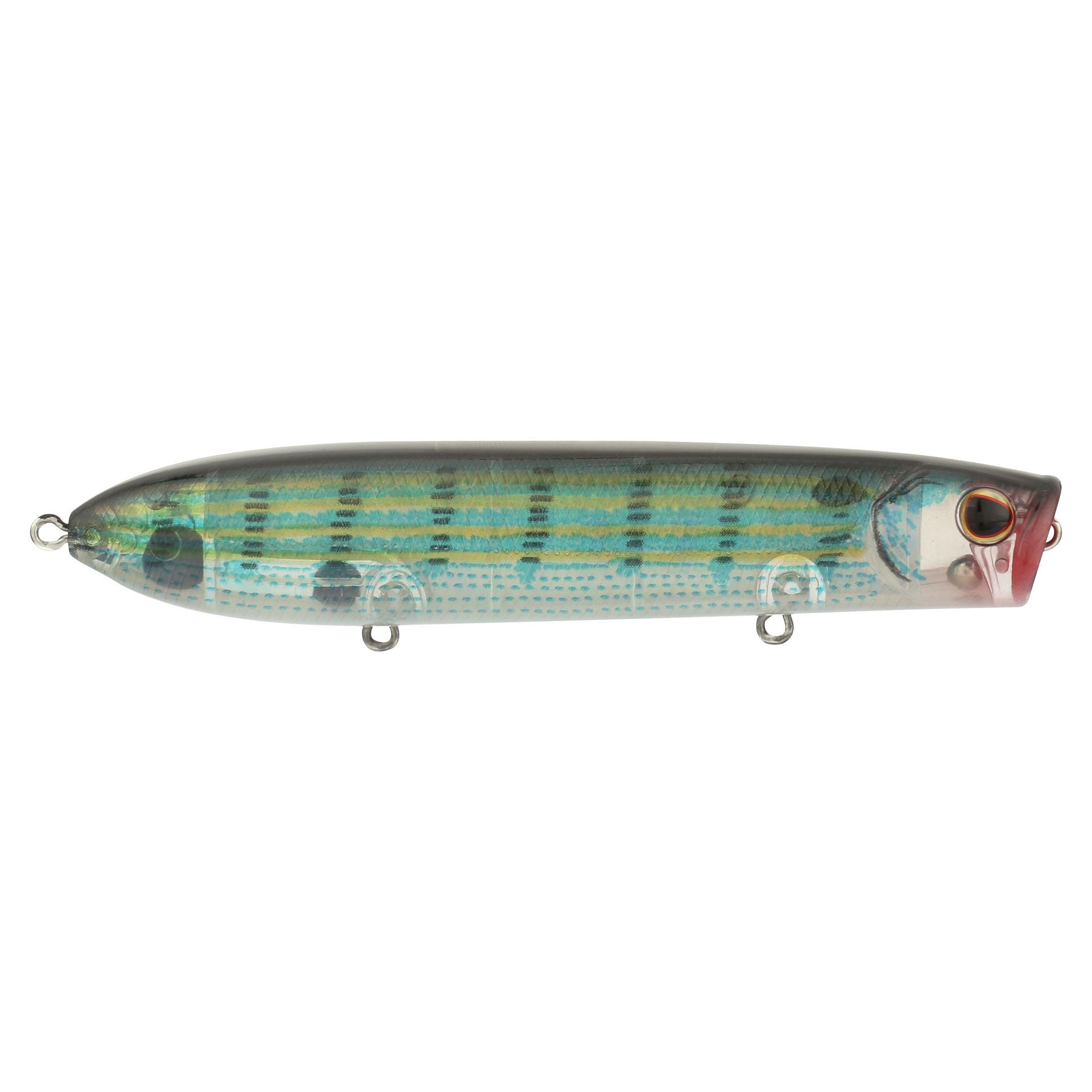 Cane Walker Saltwater
