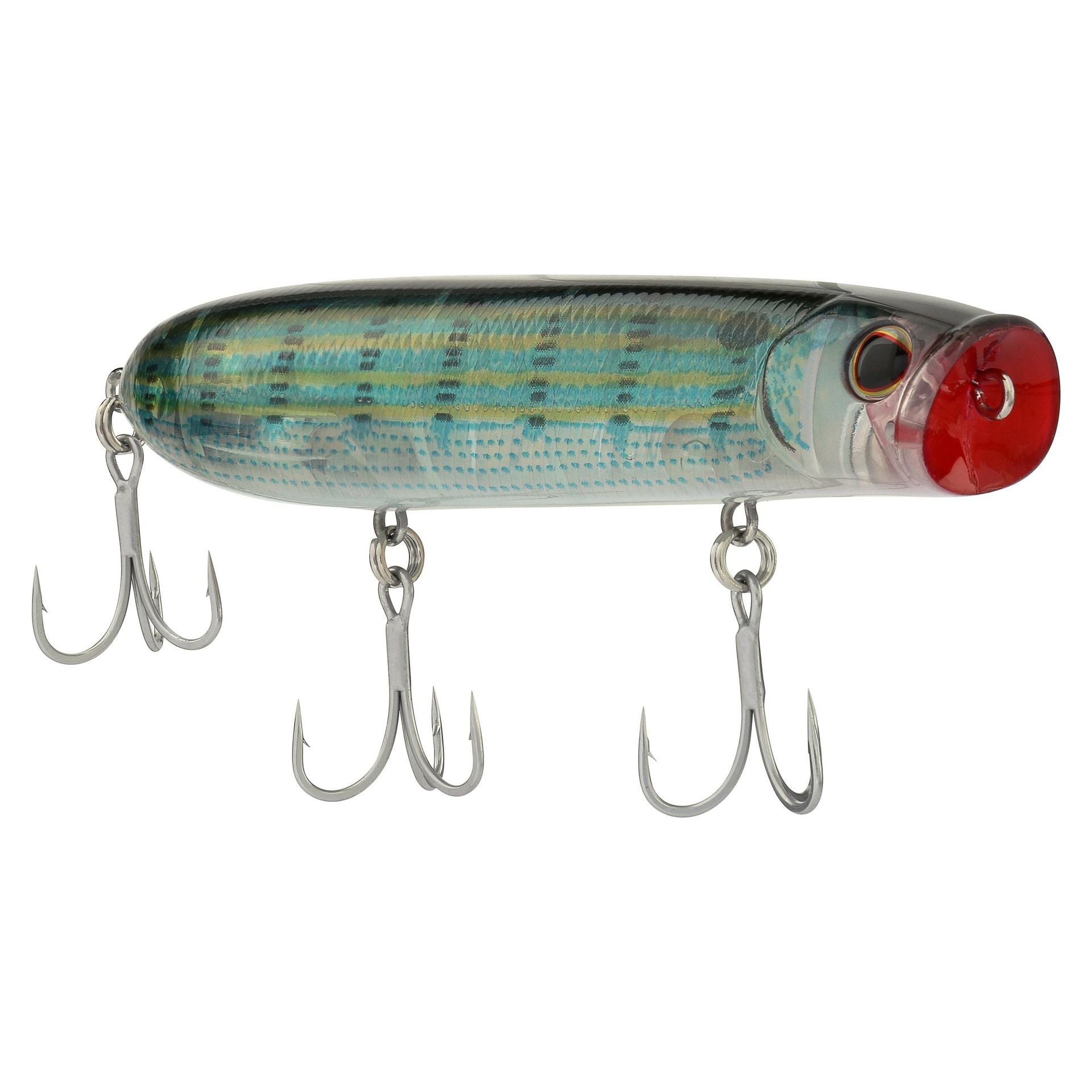 Cane Walker Saltwater
