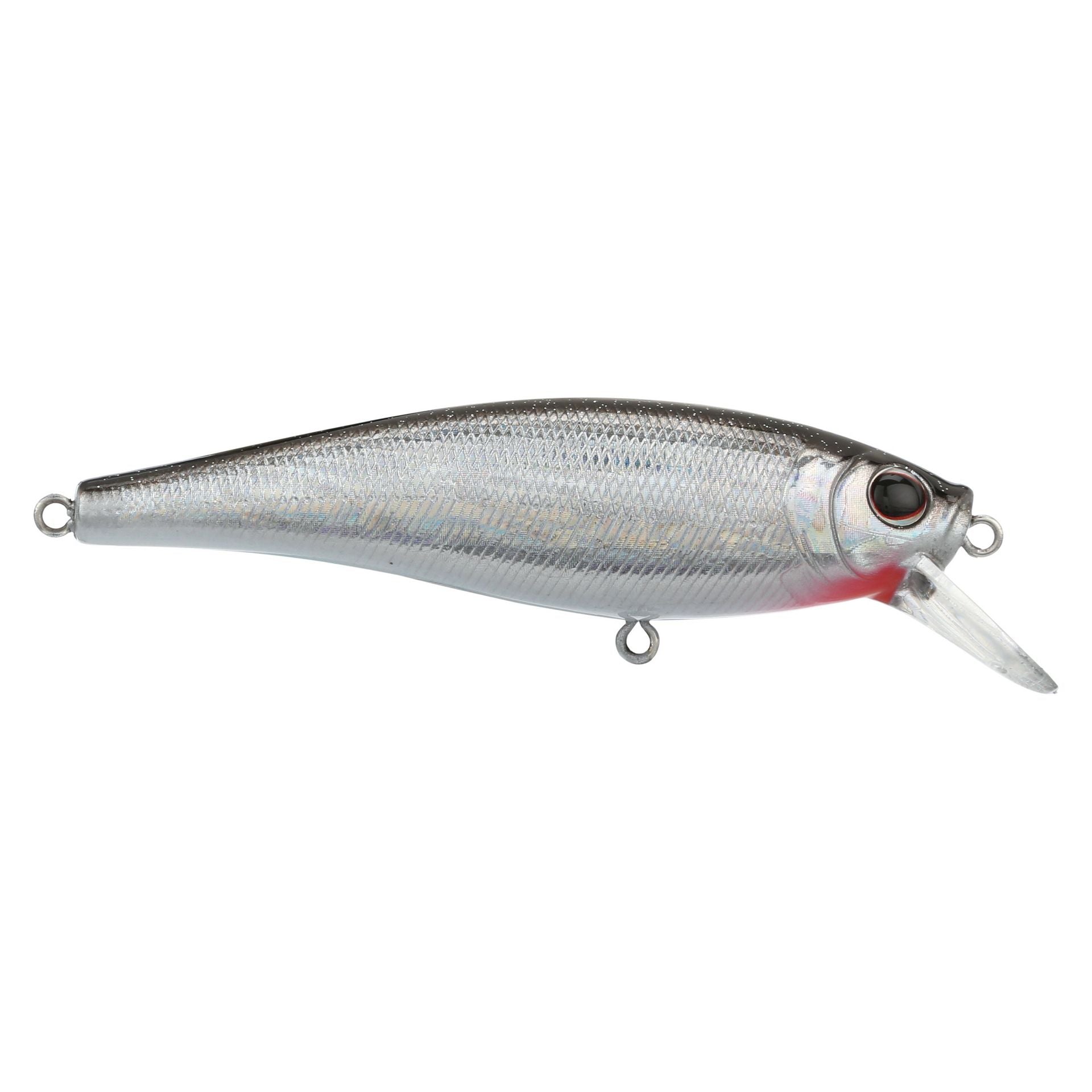 Cutter Saltwater