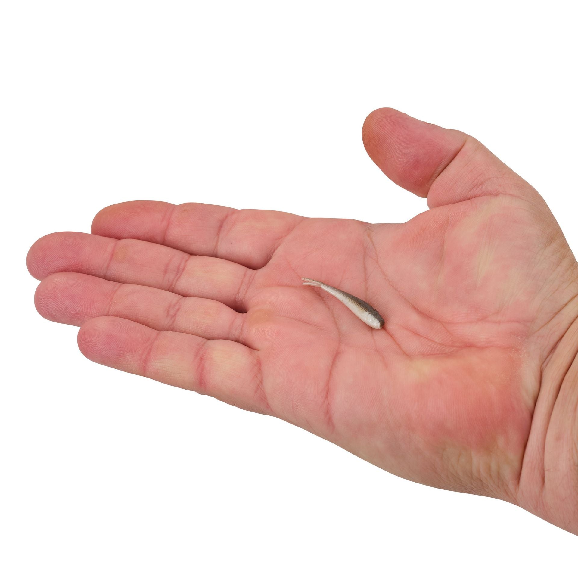 Gulp! Alive!® Minnow