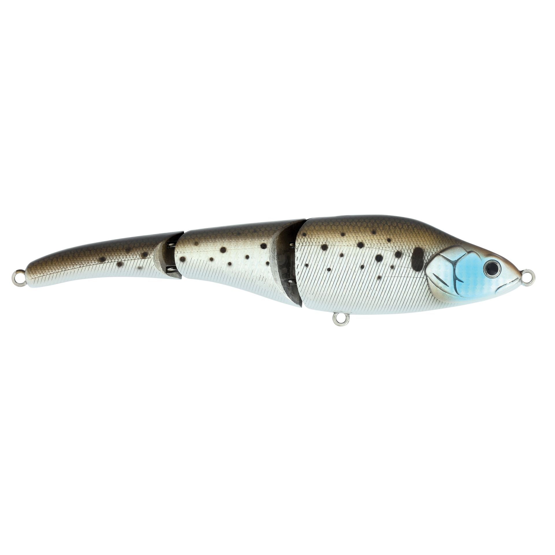 Magic Swimmer® Saltwater