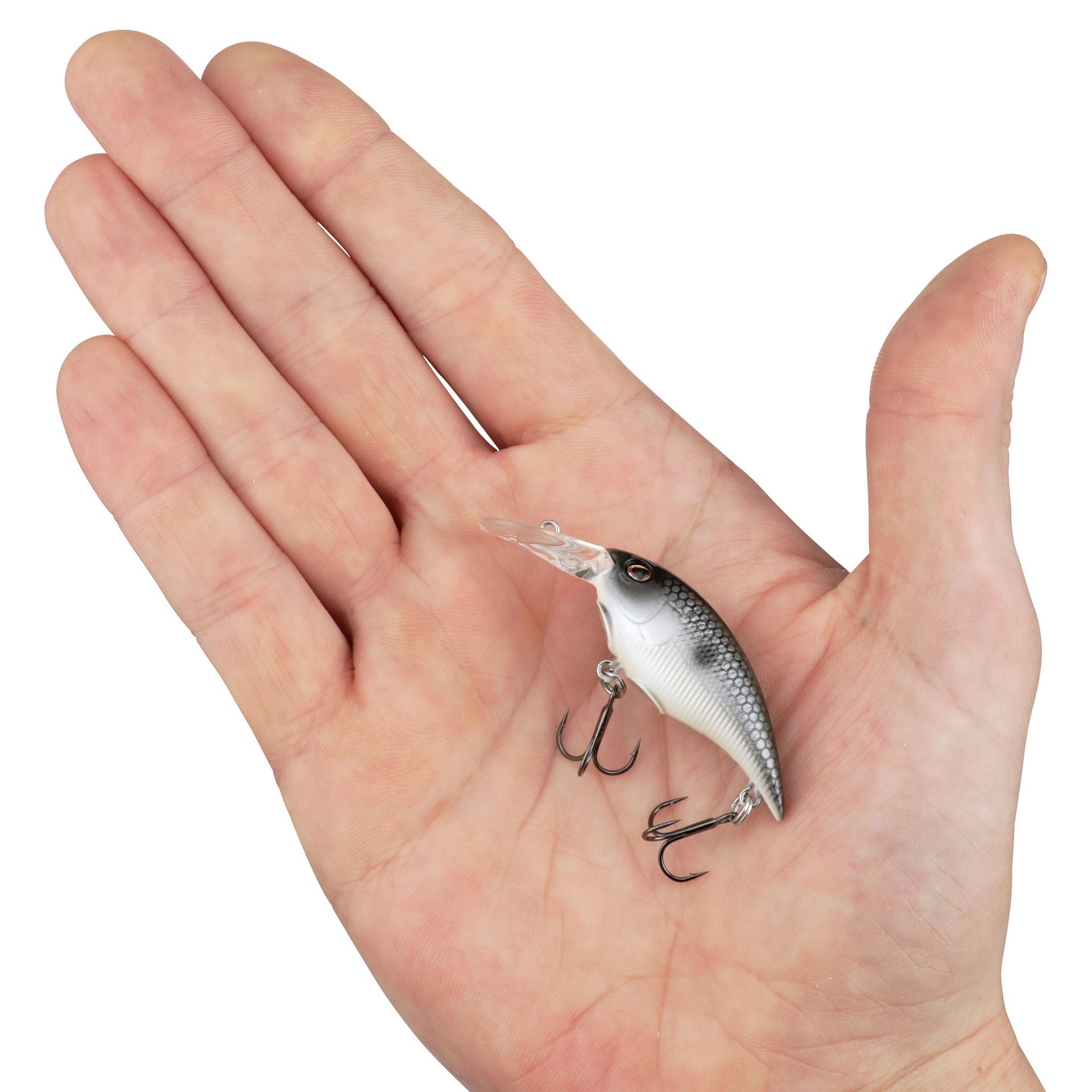Money Badger