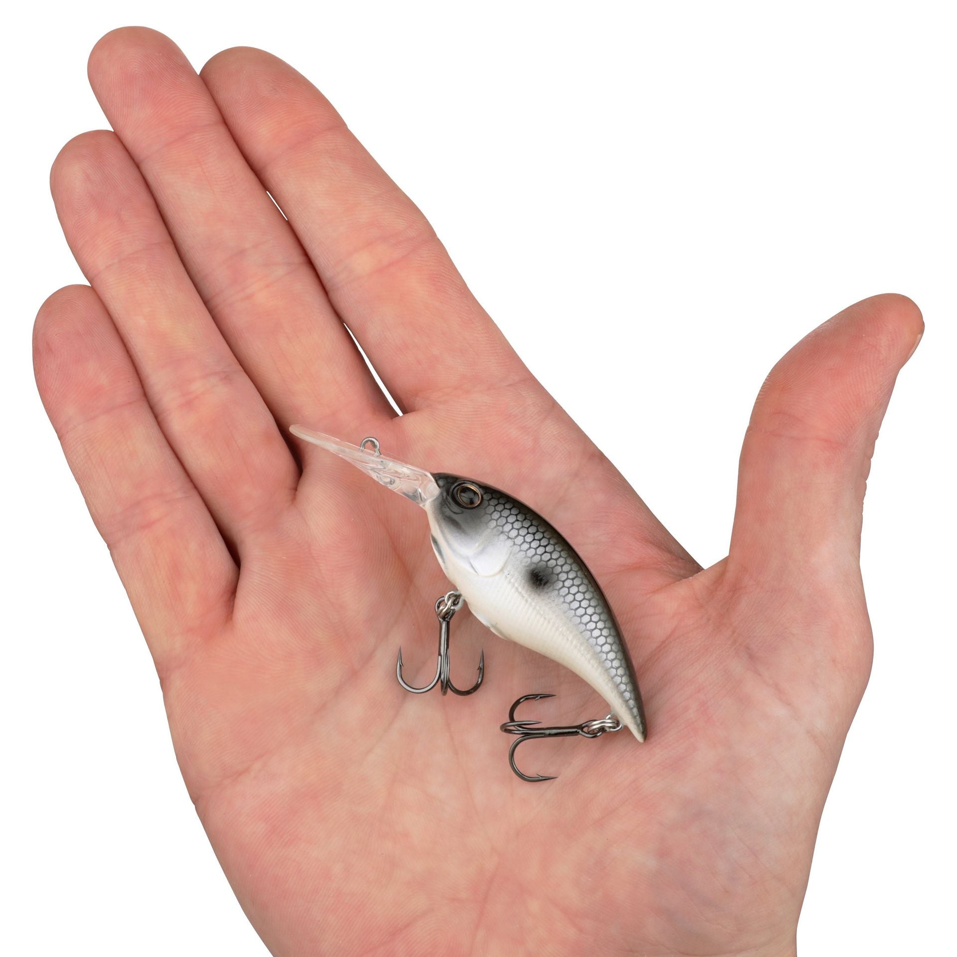 Money Badger
