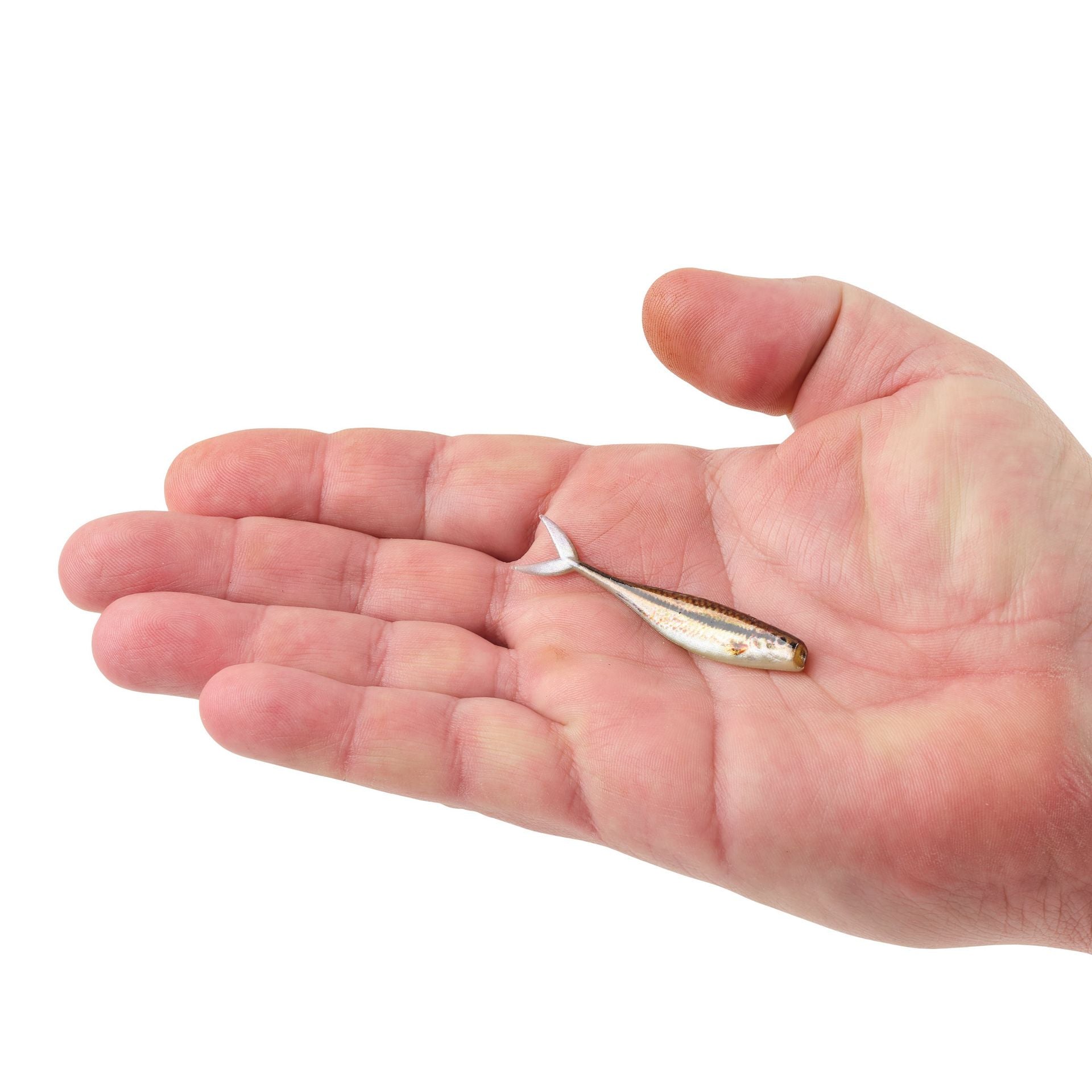 PowerBait® The Champ Minnow