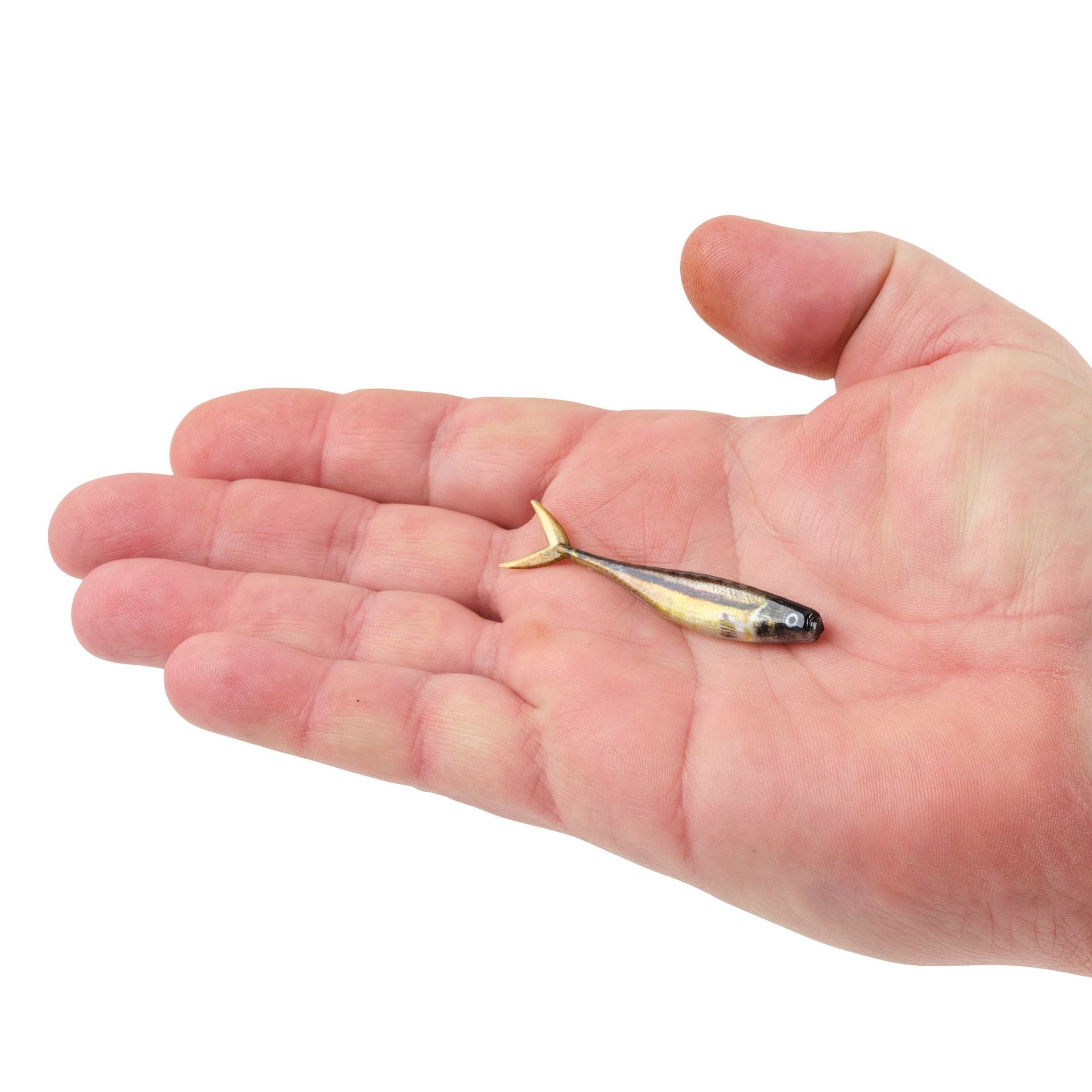 PowerBait® The Champ Minnow