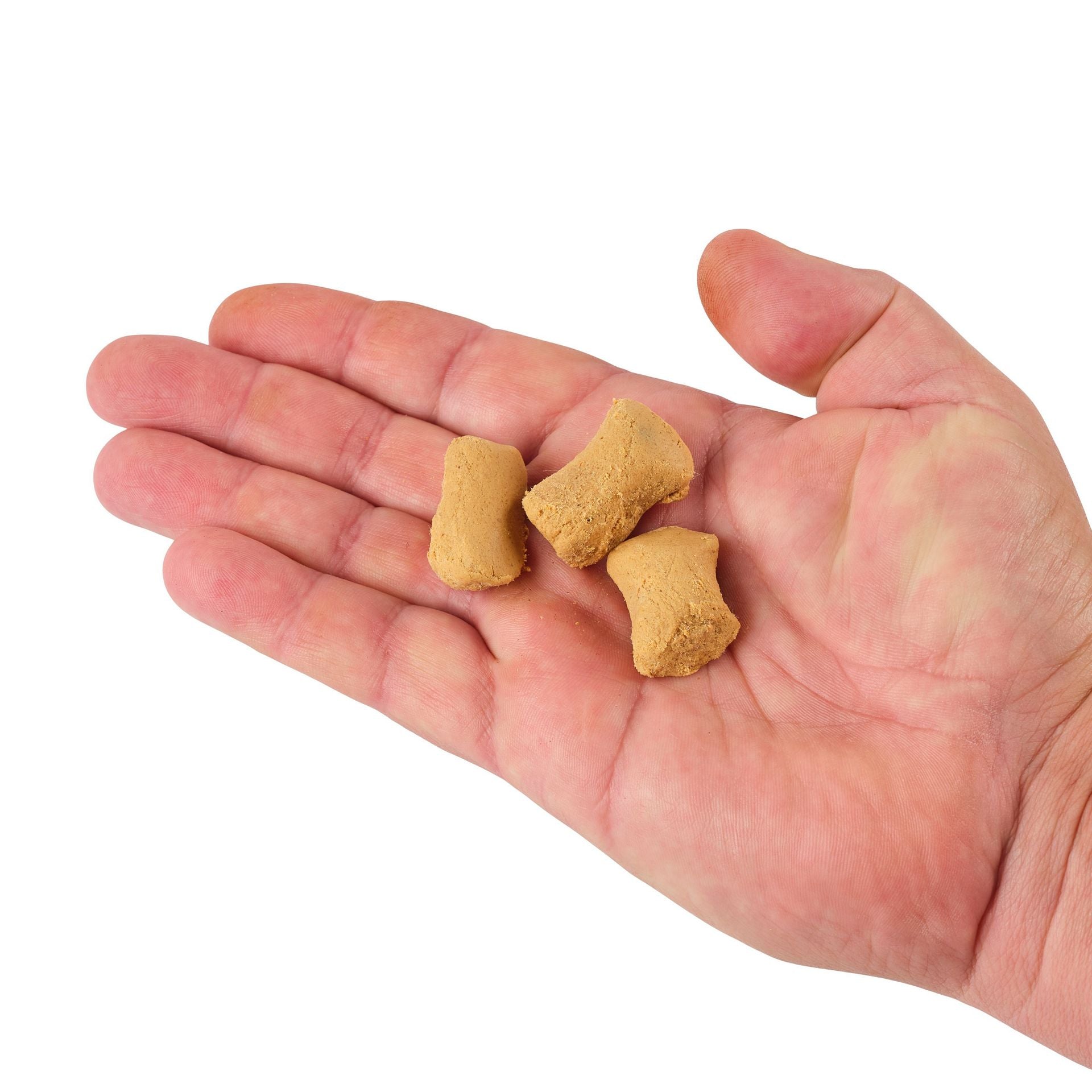 PowerBait® Catfish Bait Chunks