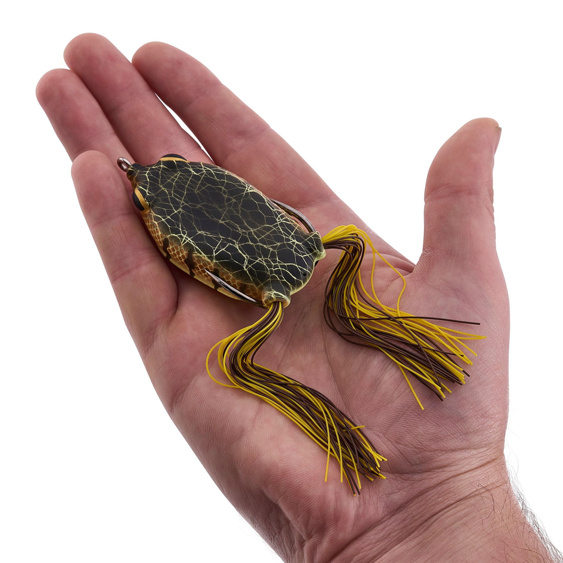 Swamp Lord Hollow Body Frog