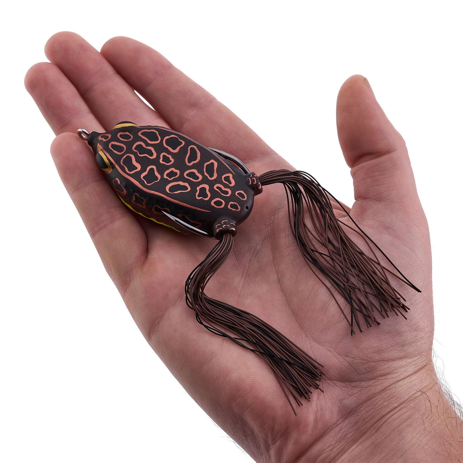 Swamp Lord Hollow Body Frog