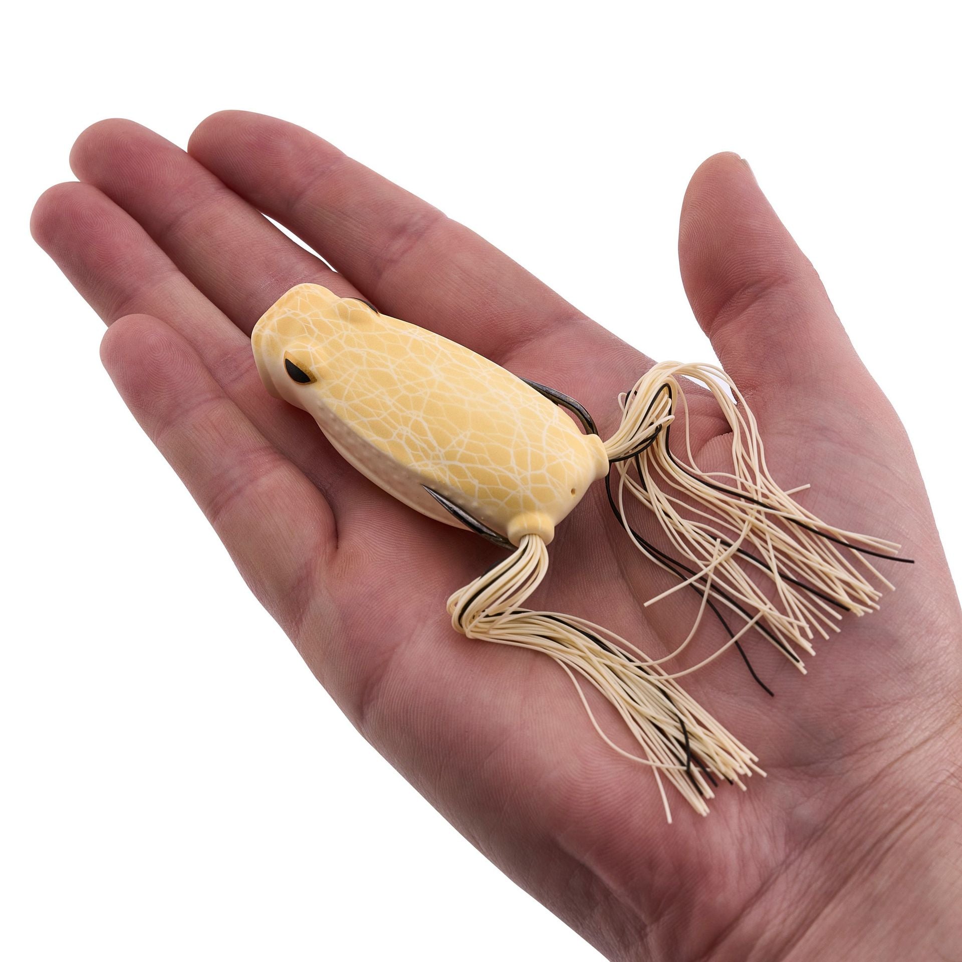 Swamp Lord Popping Hollow Body Frog