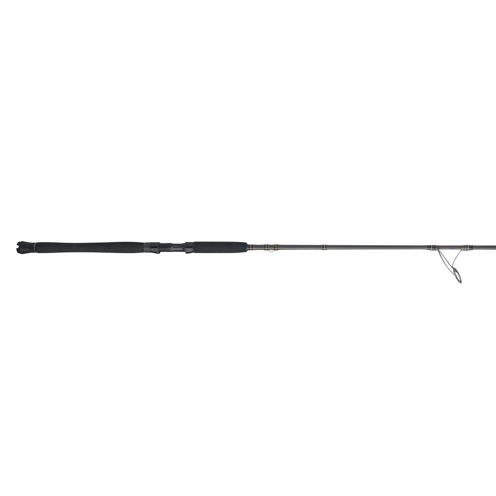 Carnage™ III Inshore Spinning