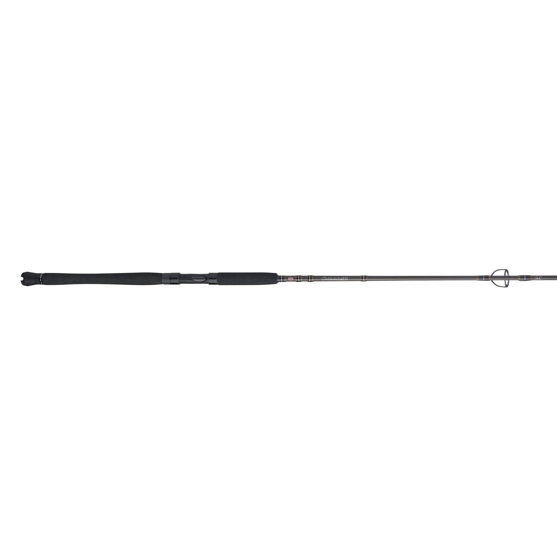 Carnage™ III Inshore Spinning