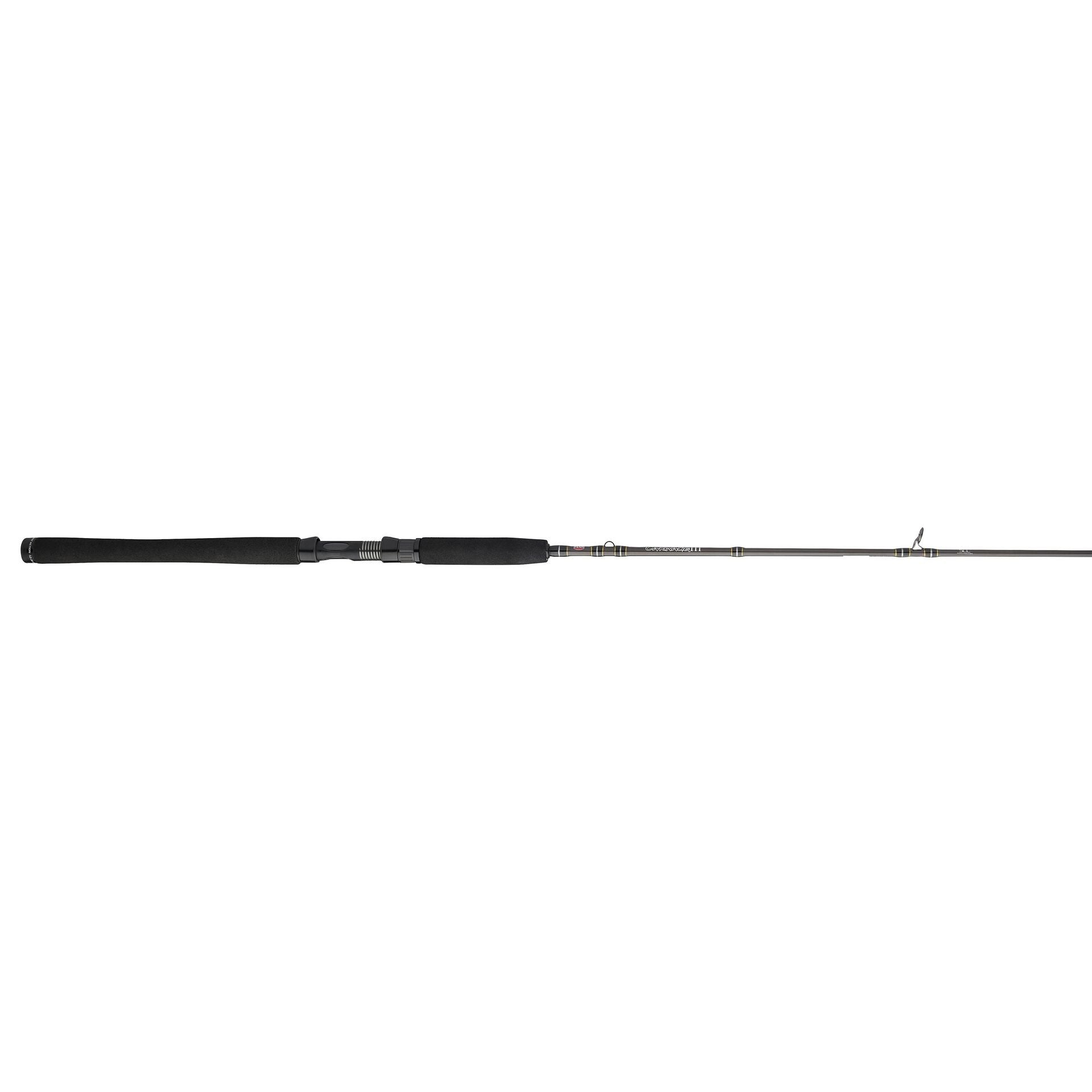 Carnage™ III Inshore Casting
