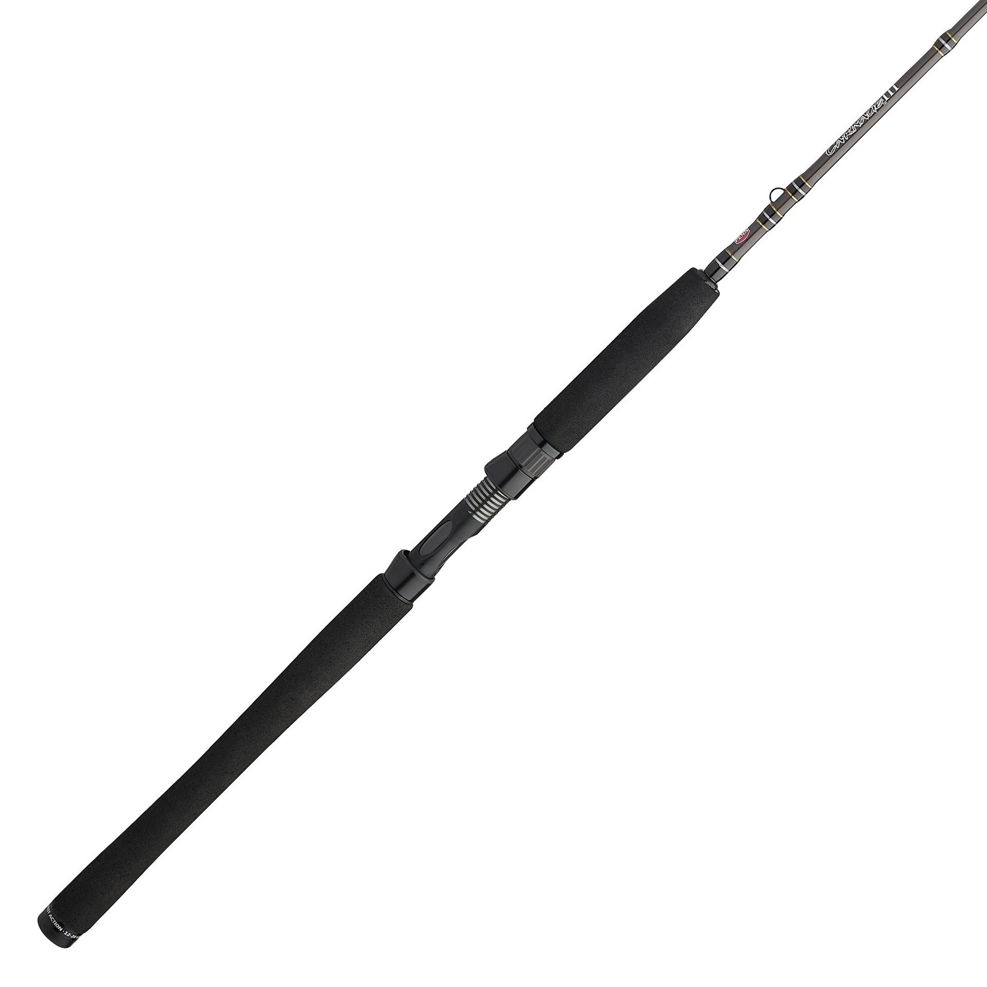 Carnage™ III Inshore Casting