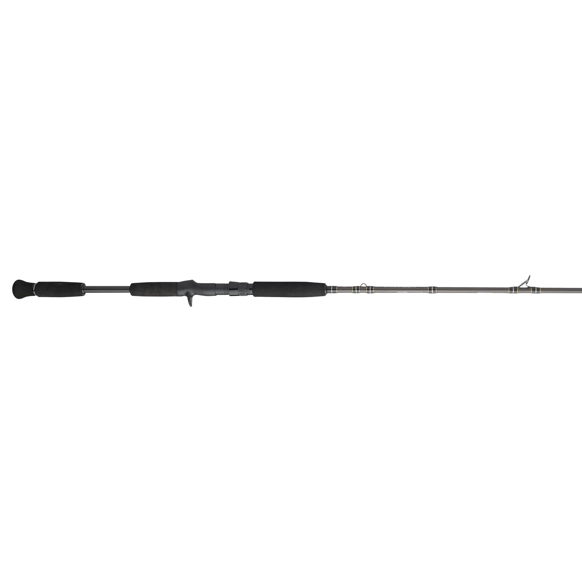 Carnage™ III Inshore Casting