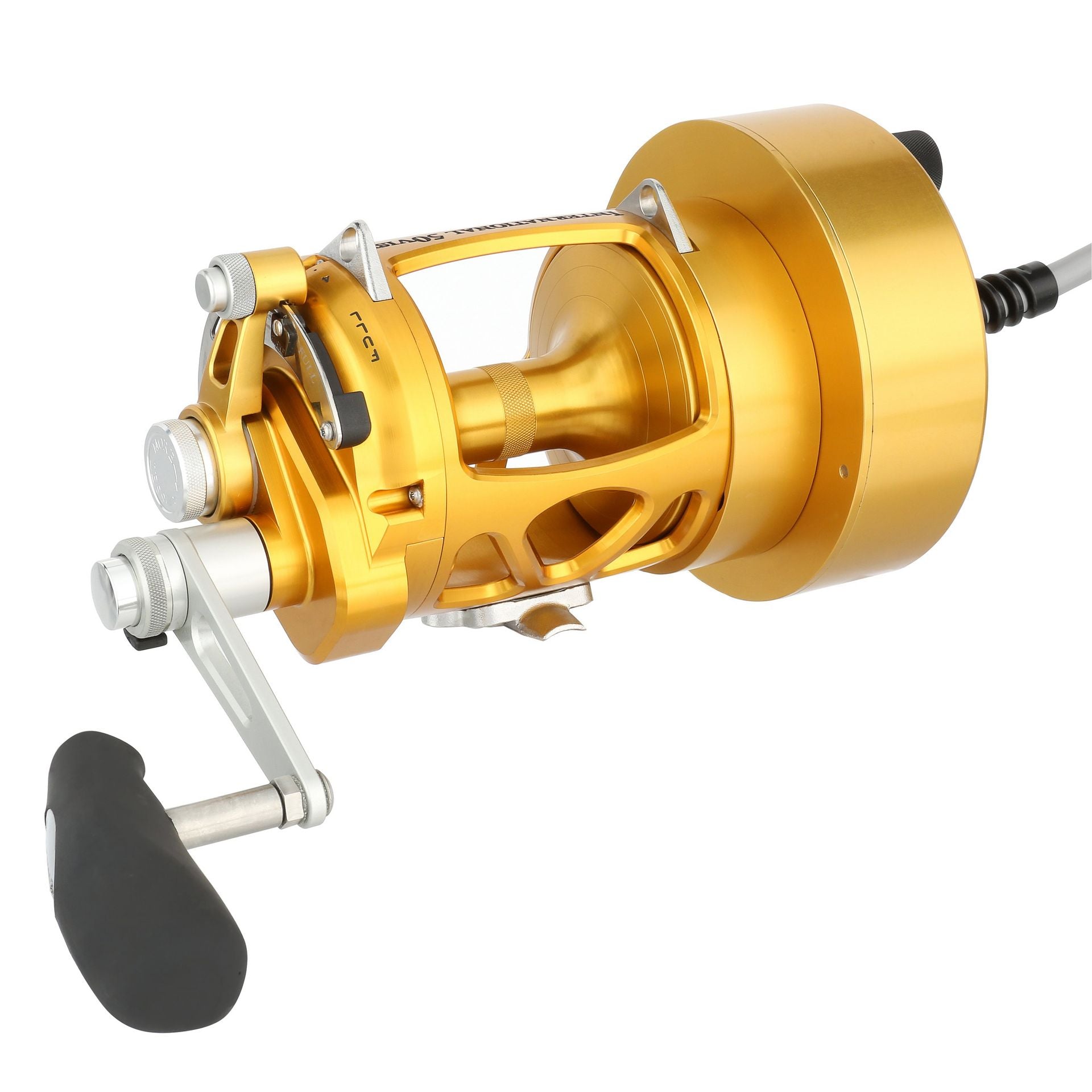International® VI Electric Detachable