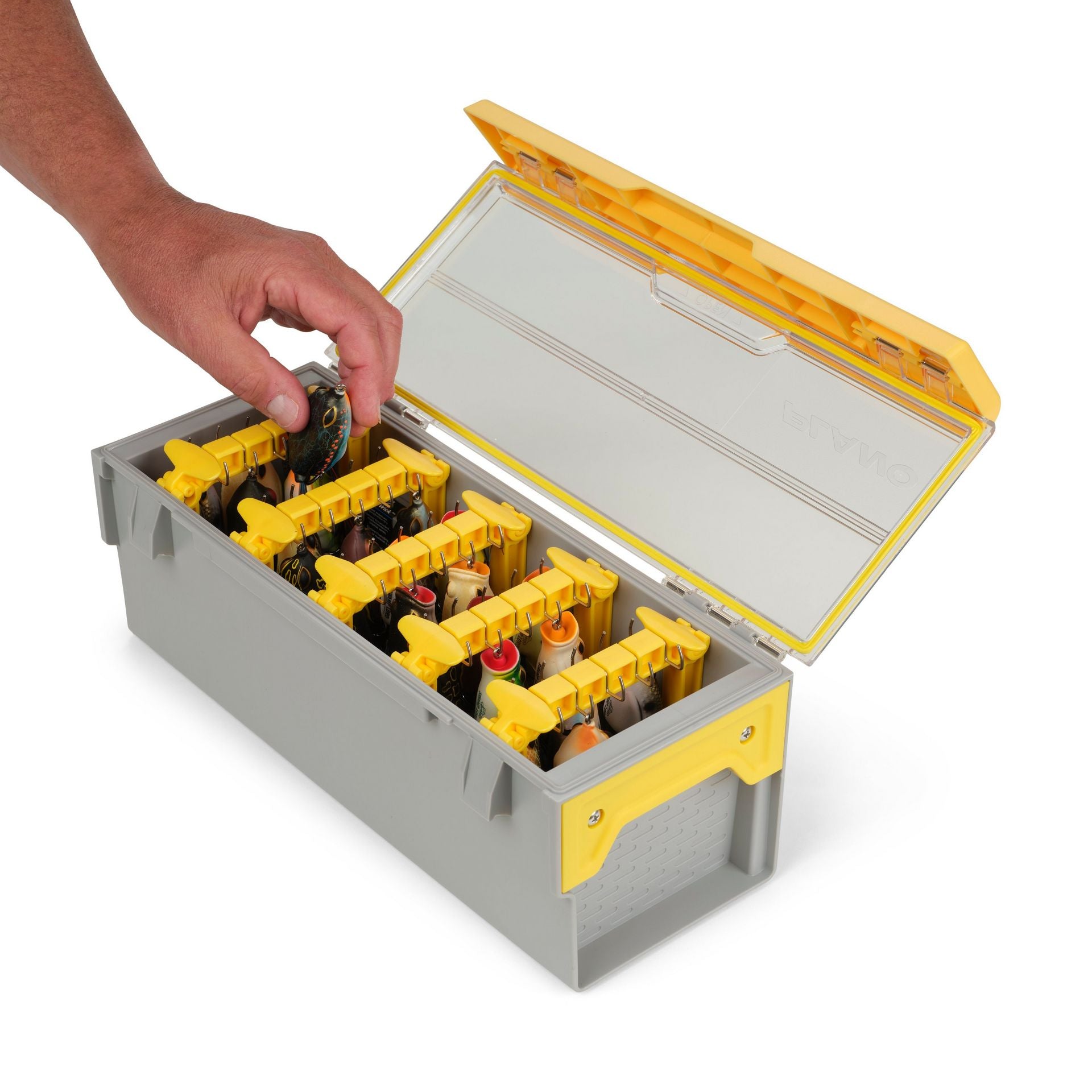 EDGE® Frog Box