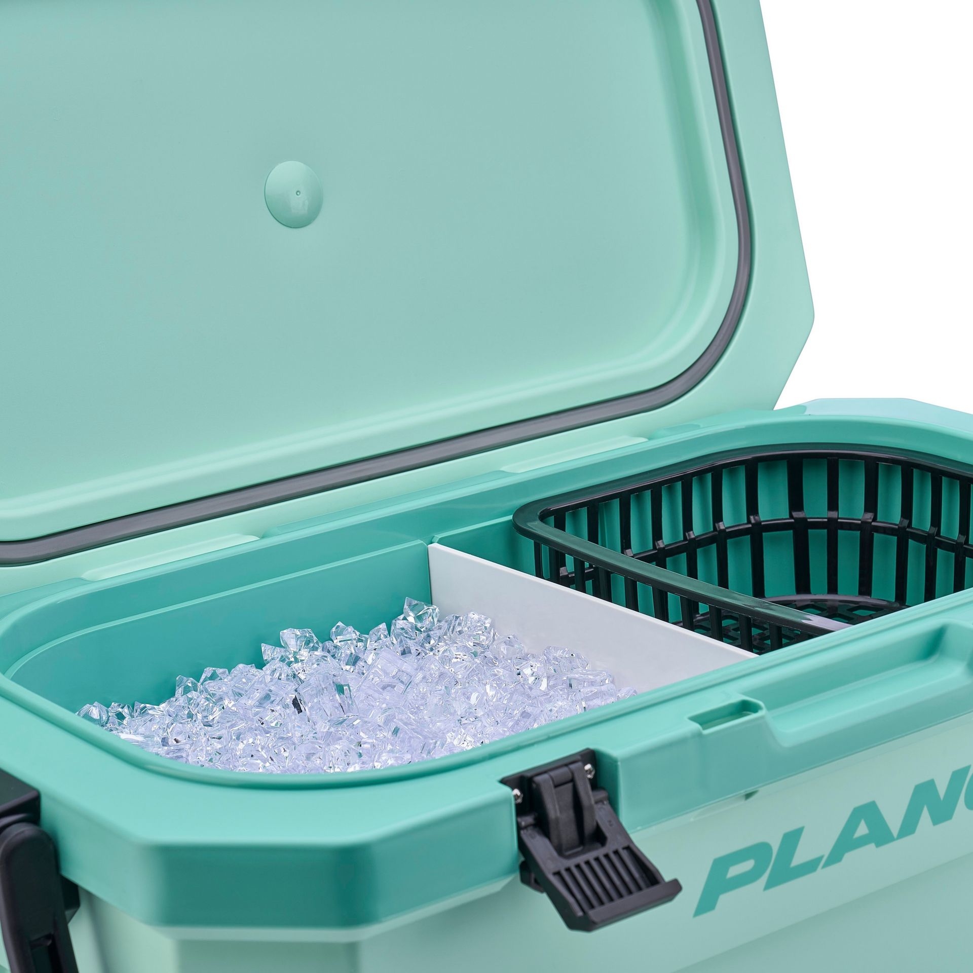 Frost™ Cooler 32 Quart (30 L)