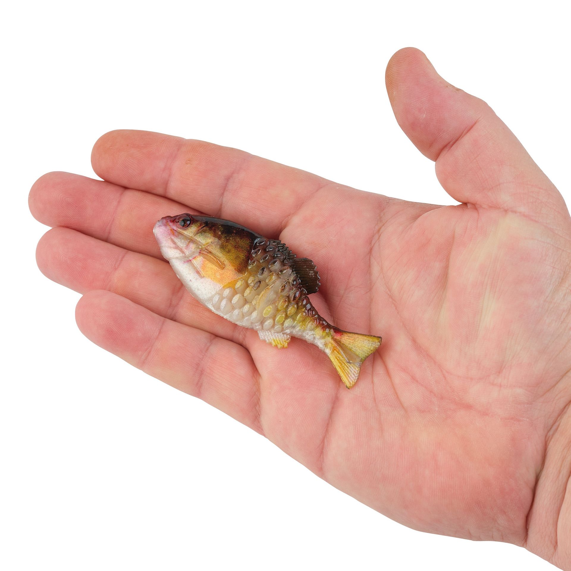 PowerBait® Gilly
