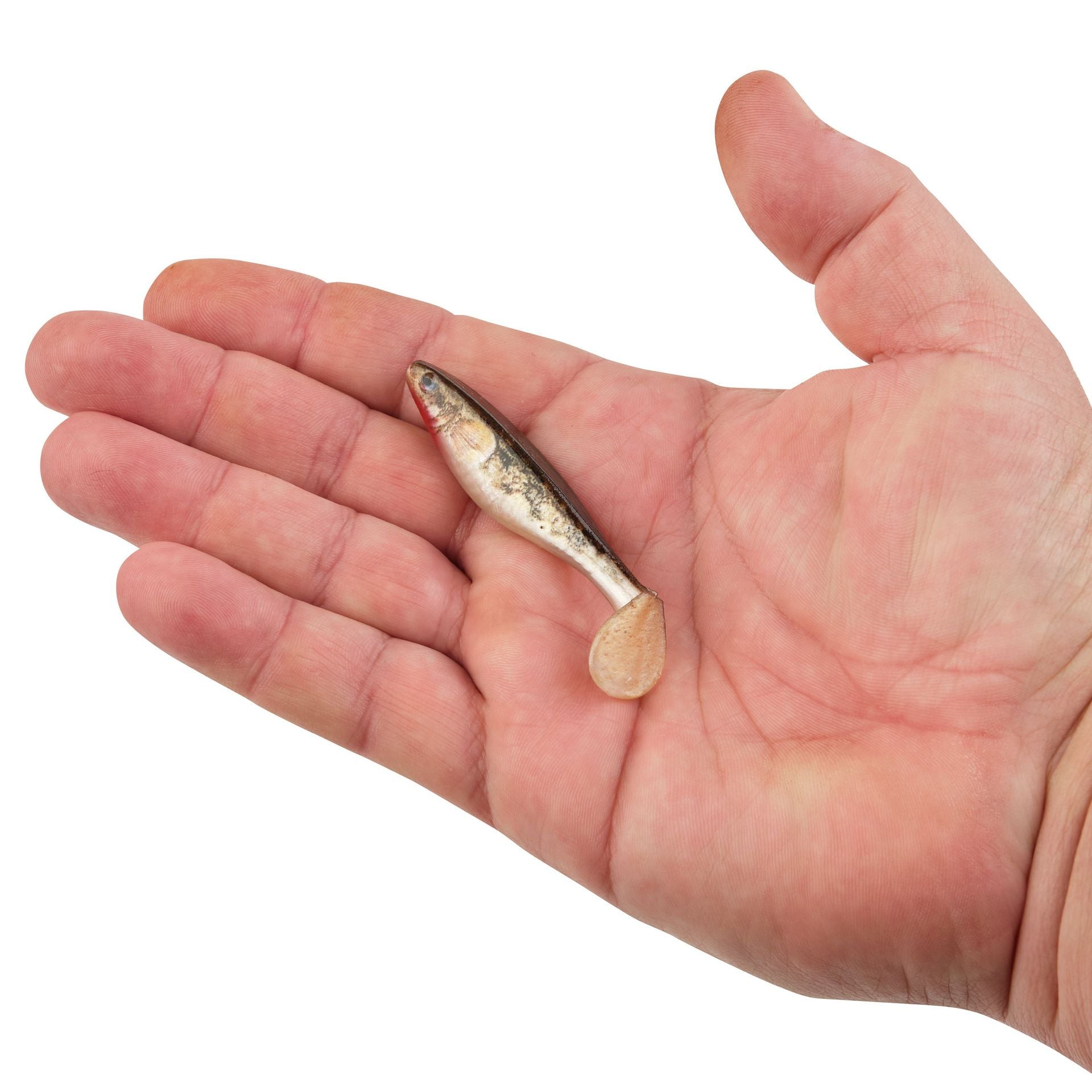 PowerBait® The Champ Swimmer