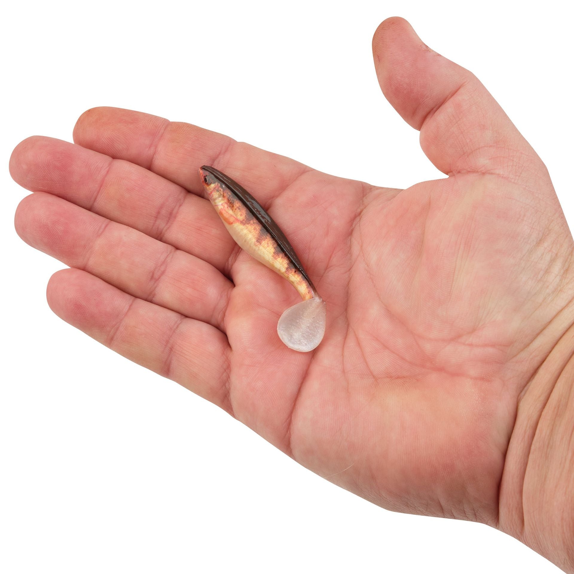 PowerBait® The Champ Swimmer