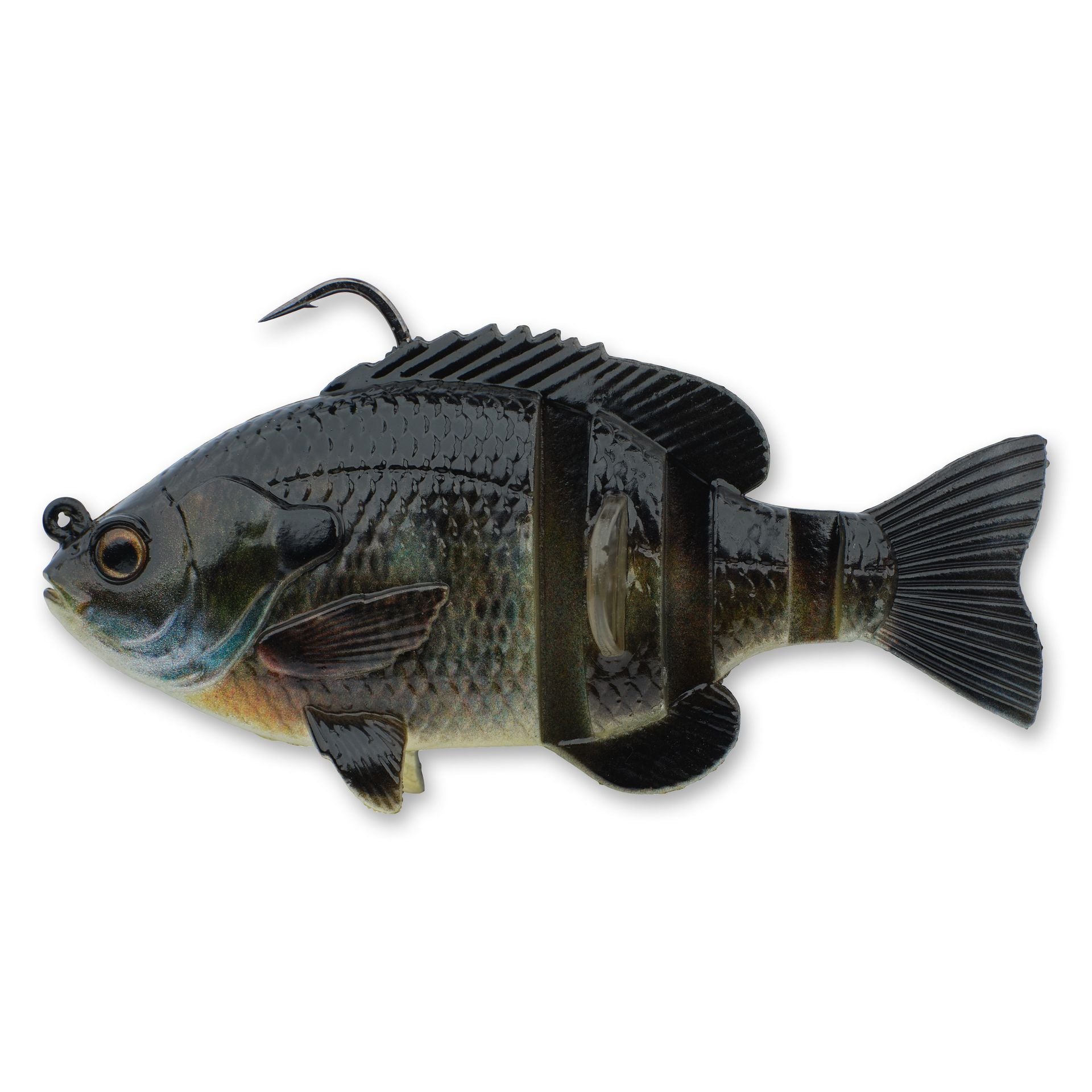 3D Bluegill RTF