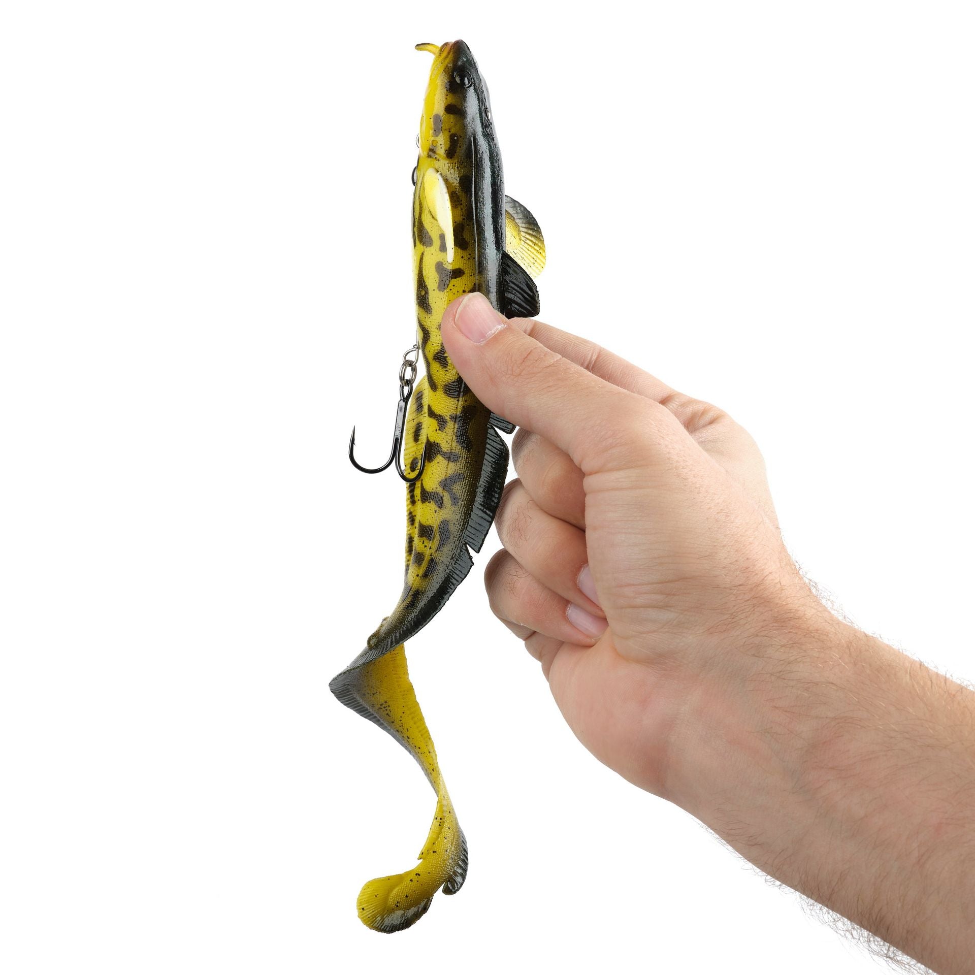 3D Burbot