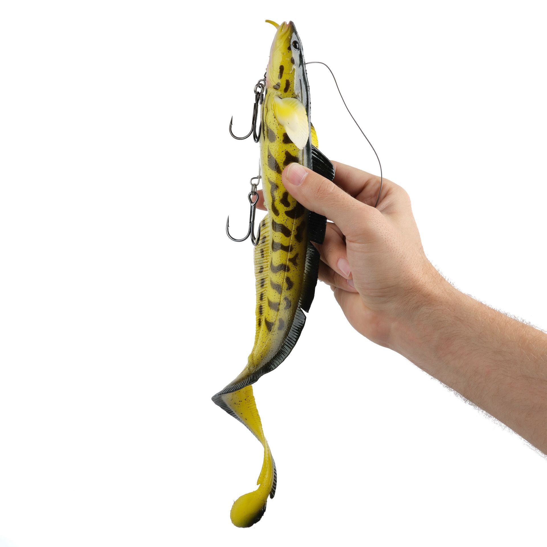 3D Burbot