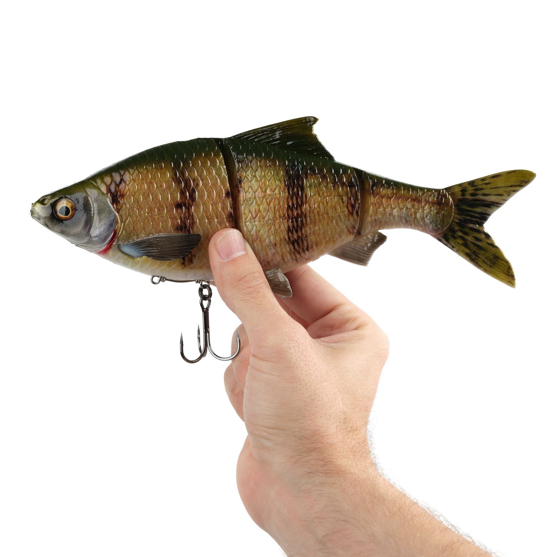 3D Gizzard
