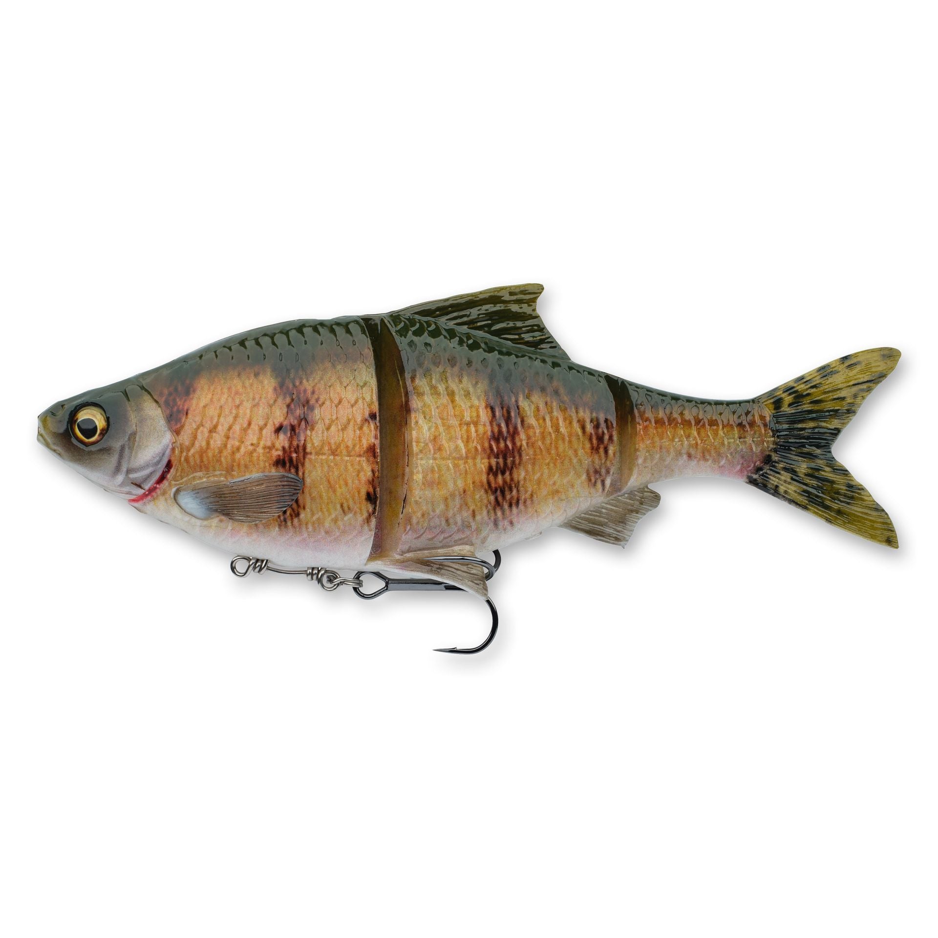 3D Gizzard