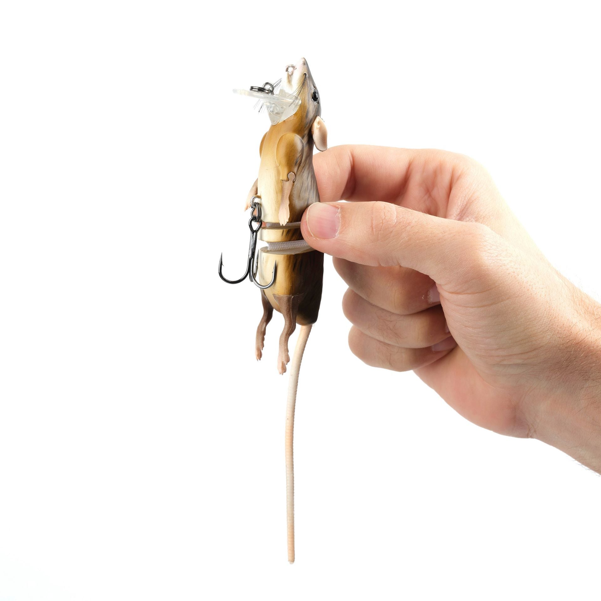 3D Rat
