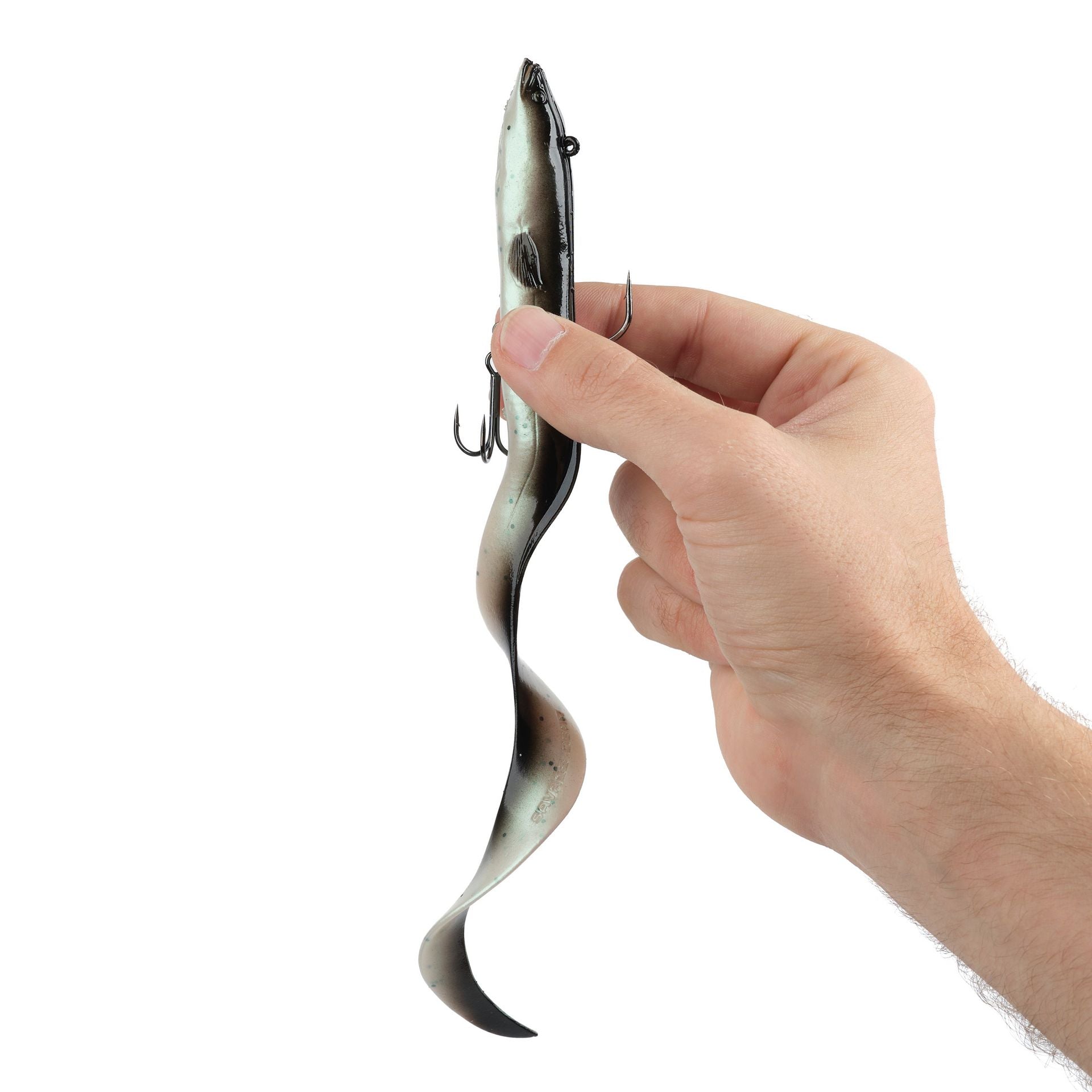 3D Real Eel