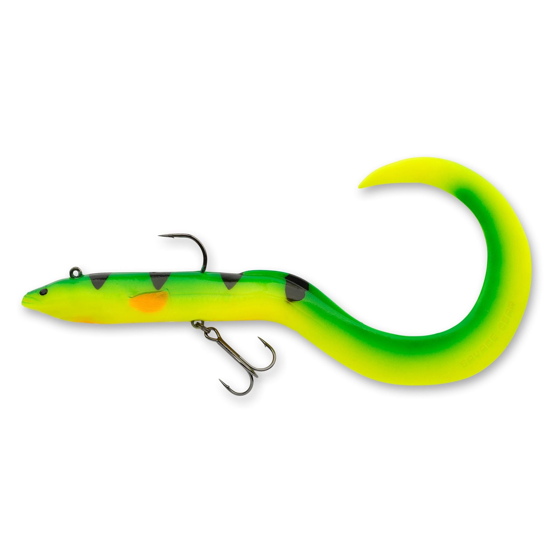 3D Real Eel