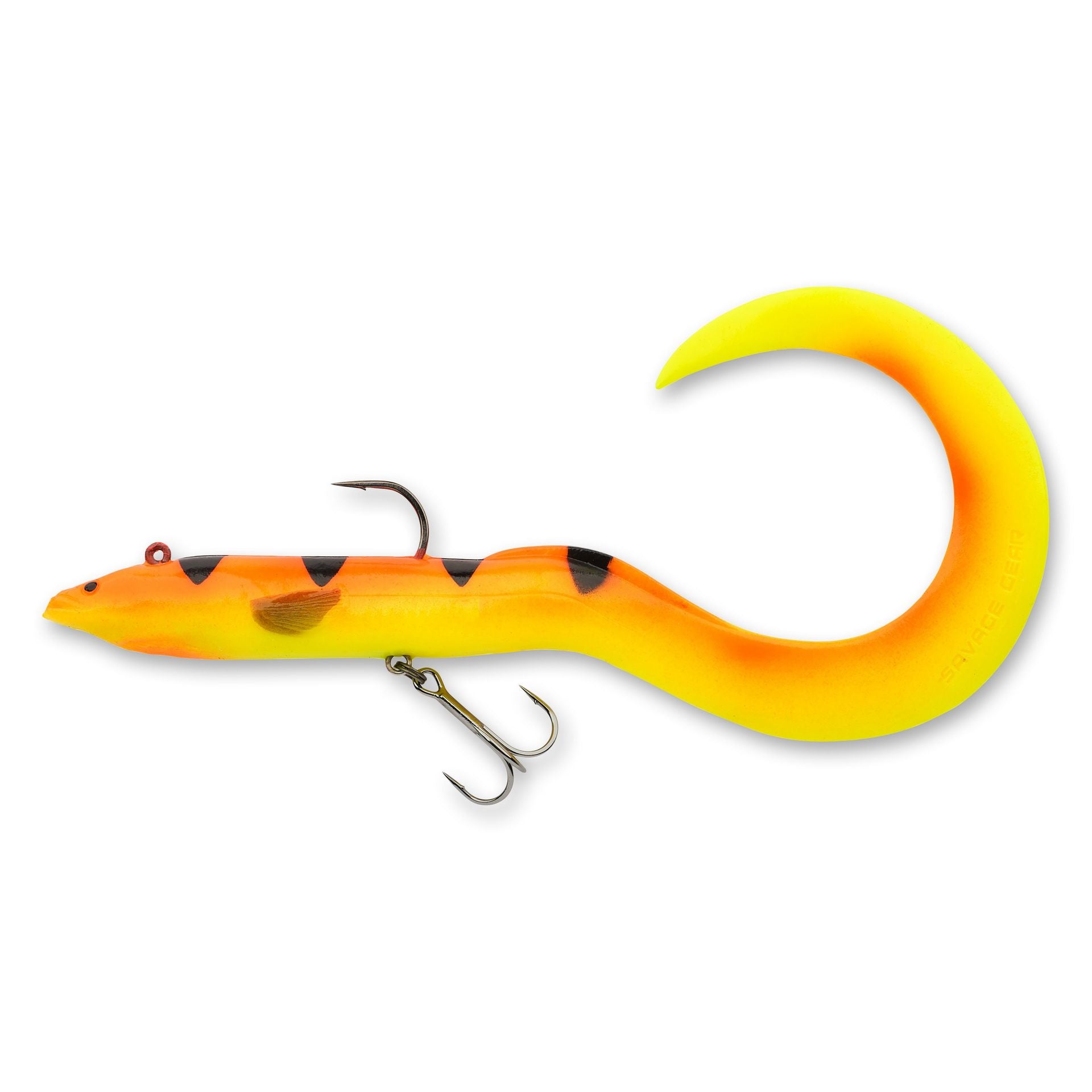 3D Real Eel