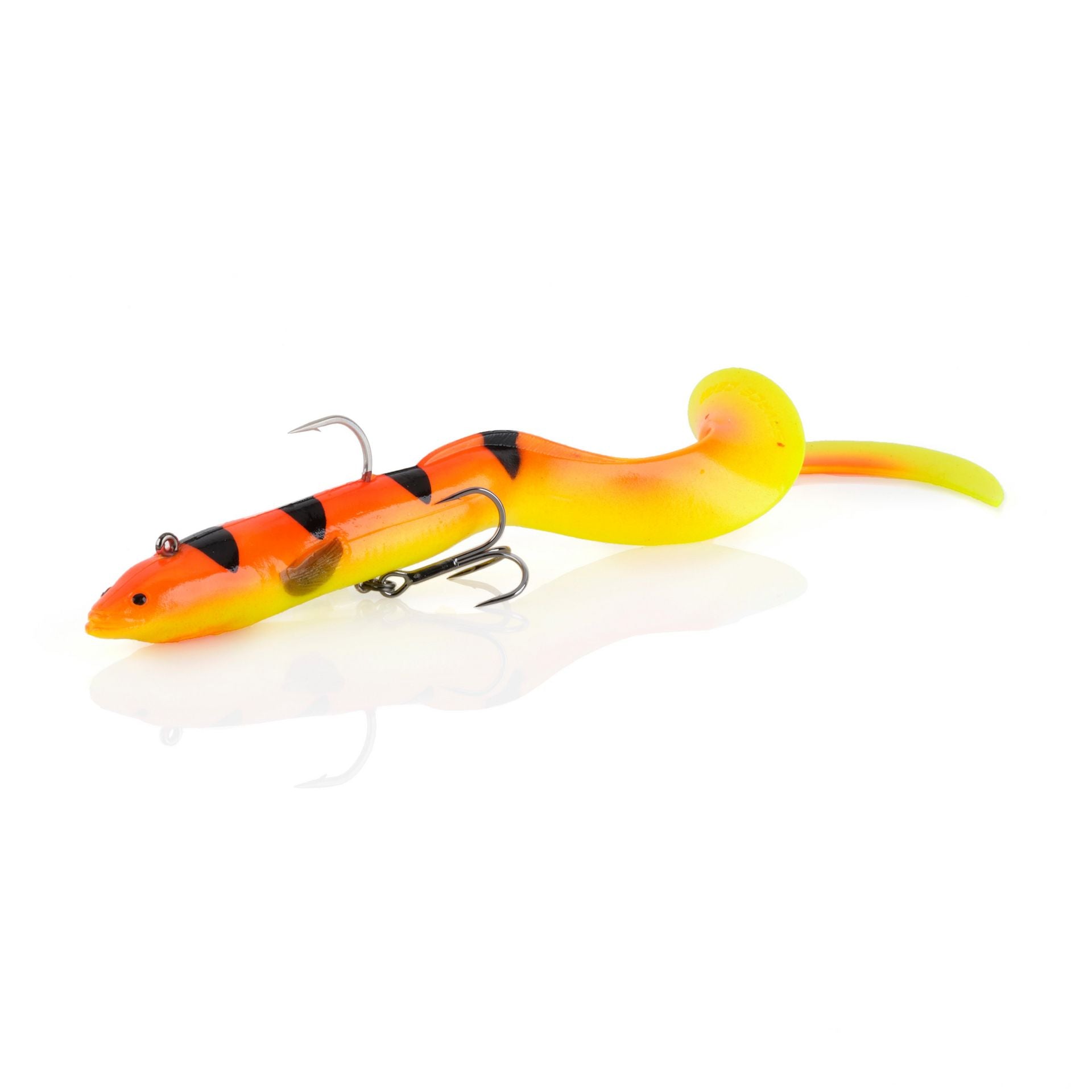 3D Real Eel