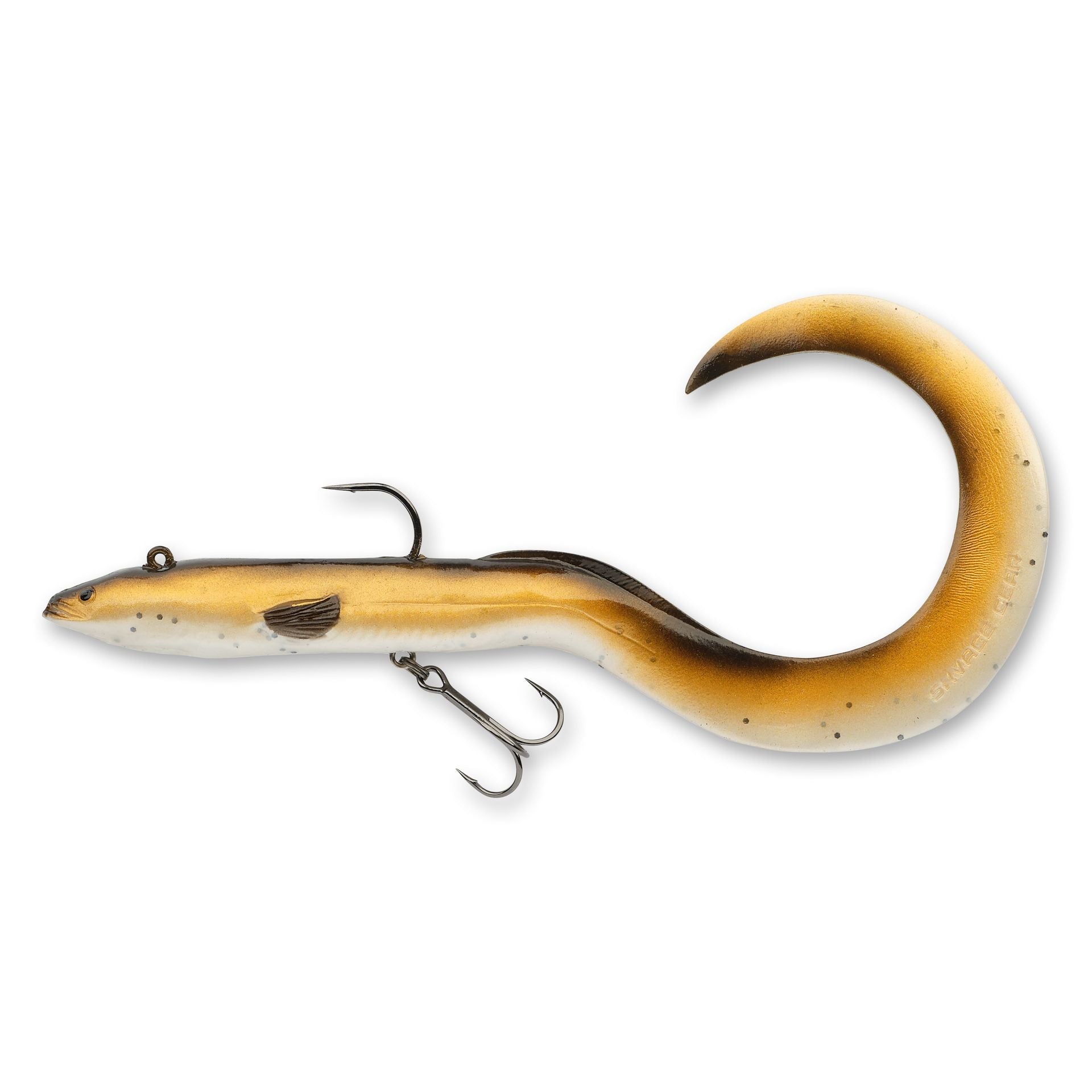 3D Real Eel