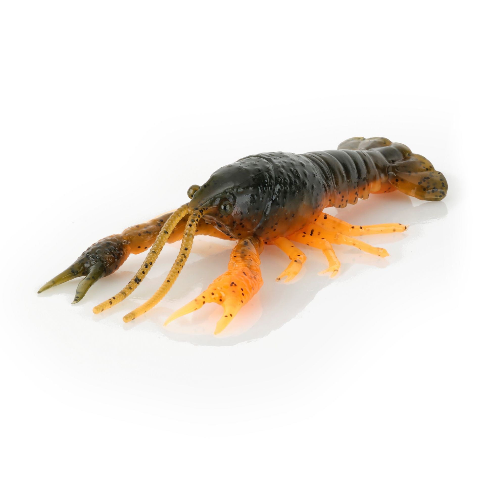 4D Craw